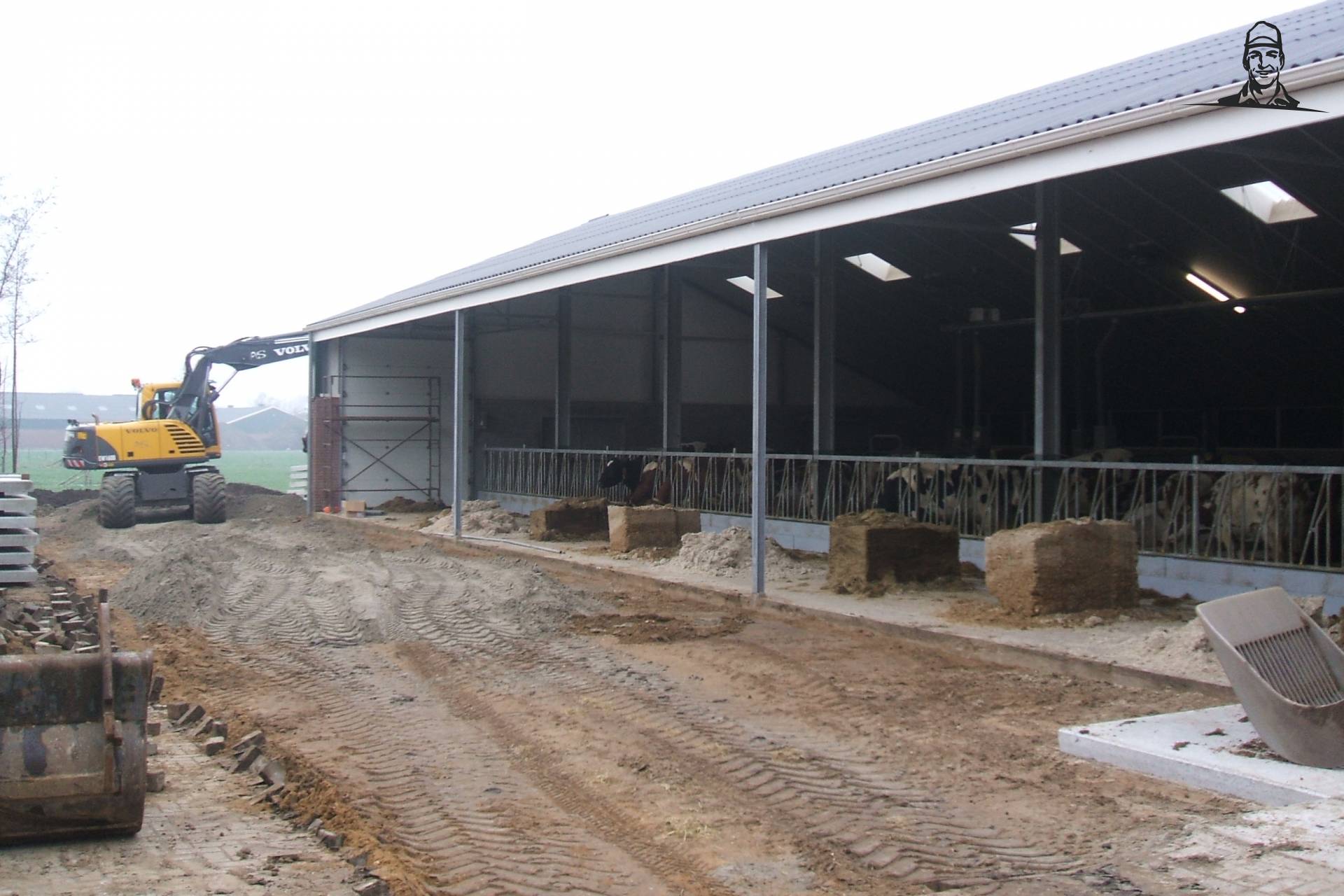 Koeien van puppy6420power