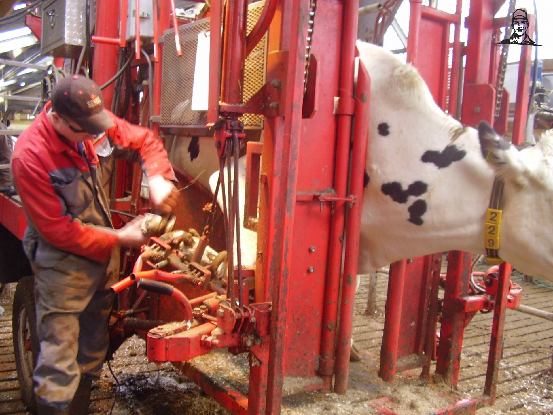 Dierverzorging van RooieRood