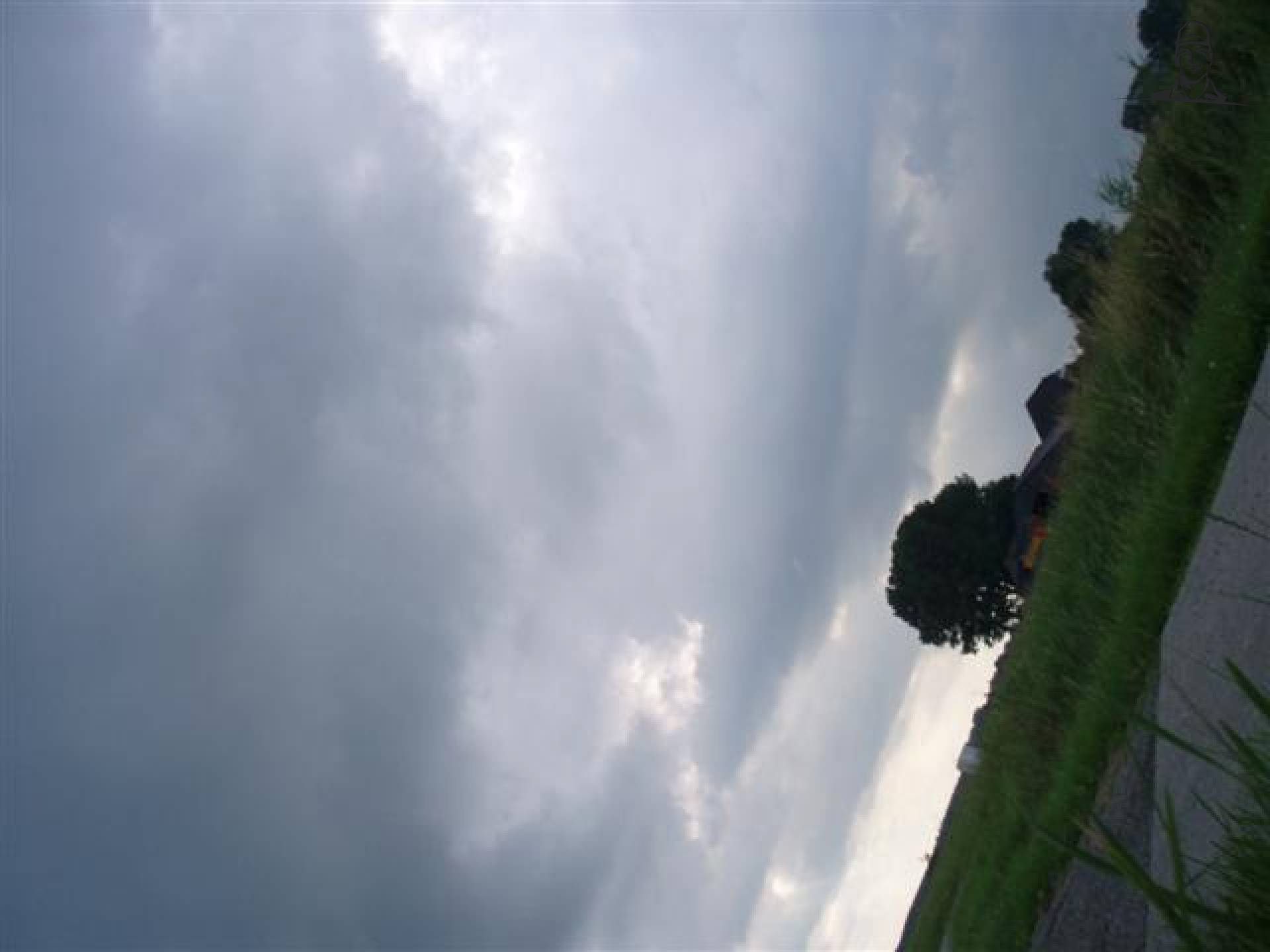 Dierverzorging van MF5465