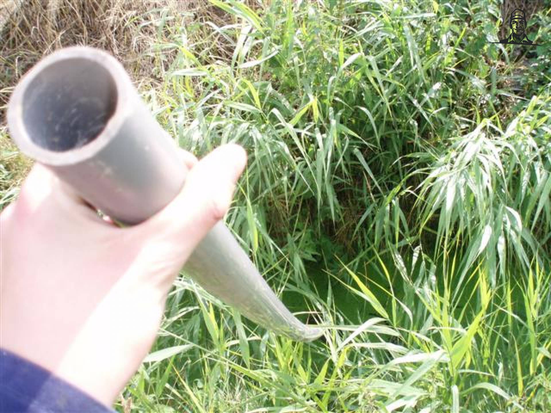 Dierverzorging van MF5465