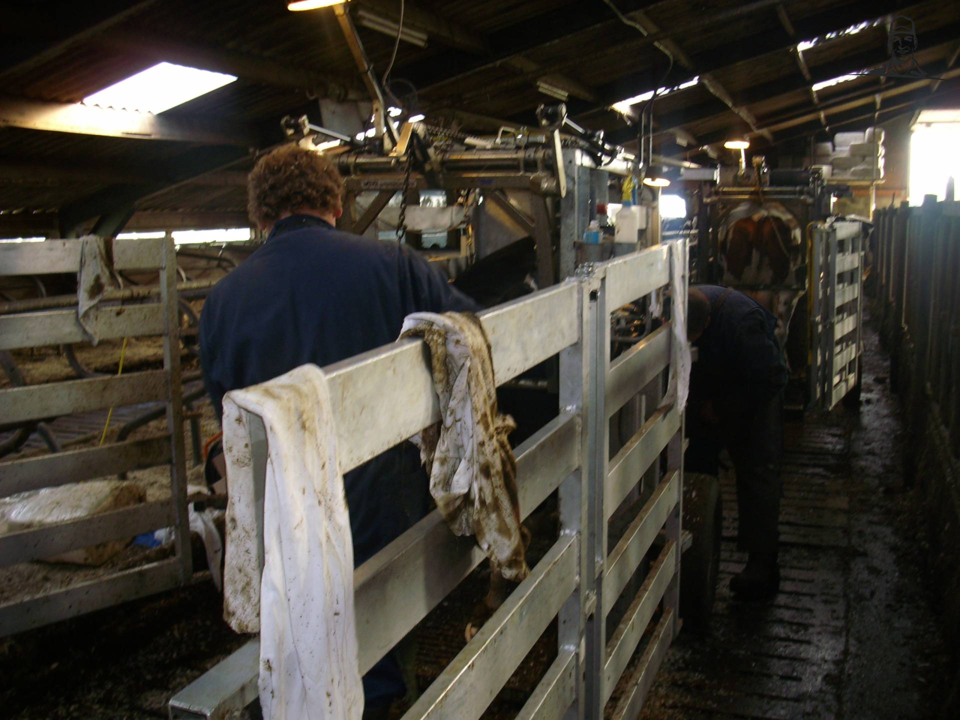 Dierverzorging van Romke