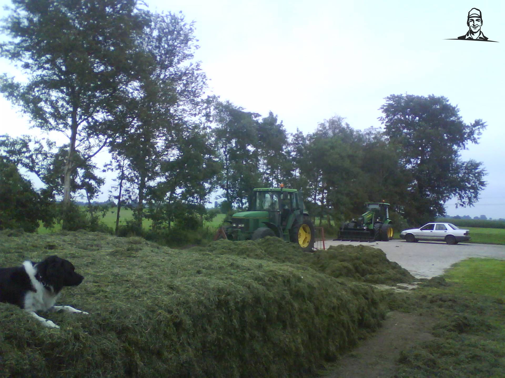 honden van tseard6600