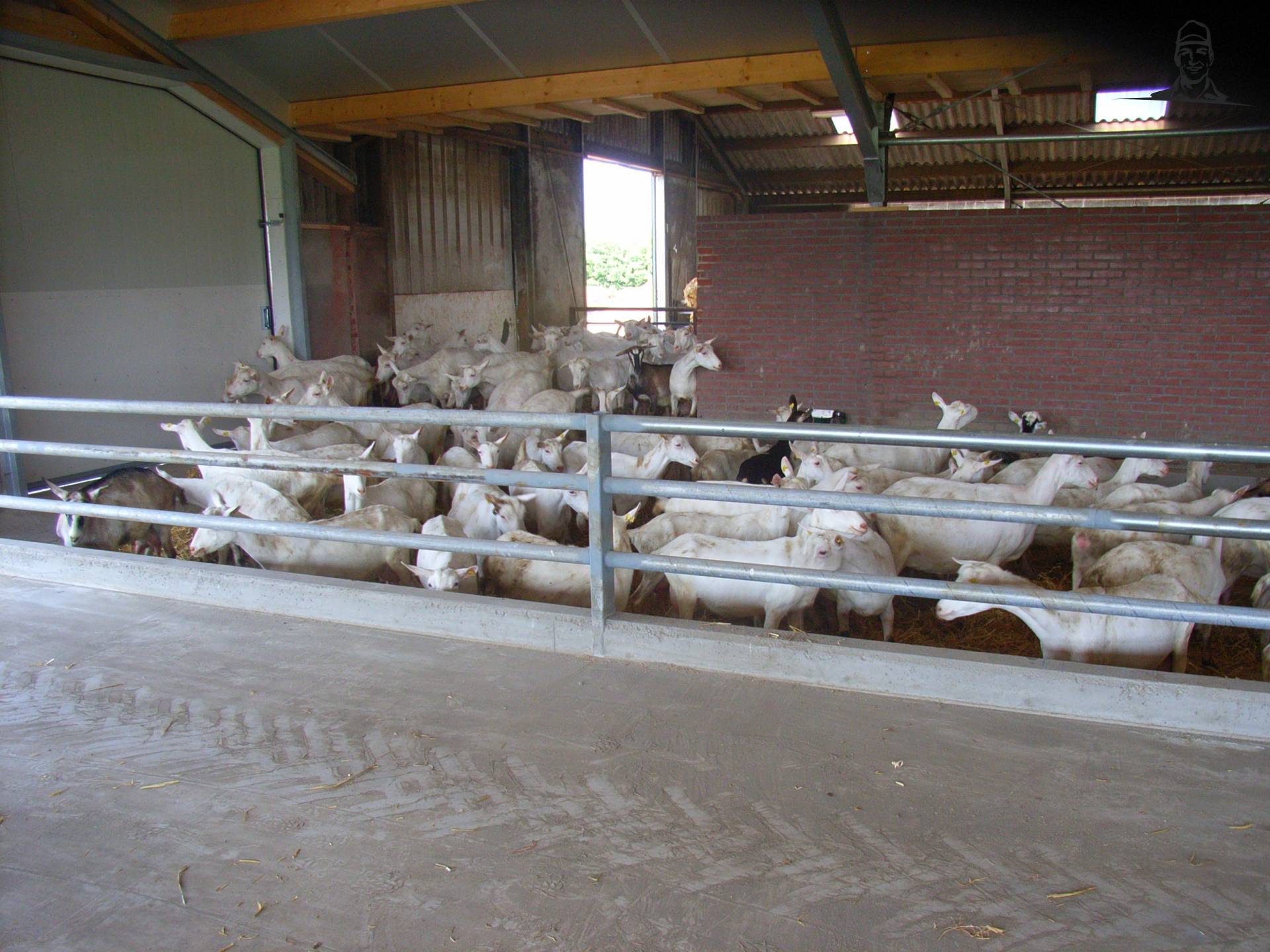 geiten de nieuwe stal in van MARK VARIO TMS