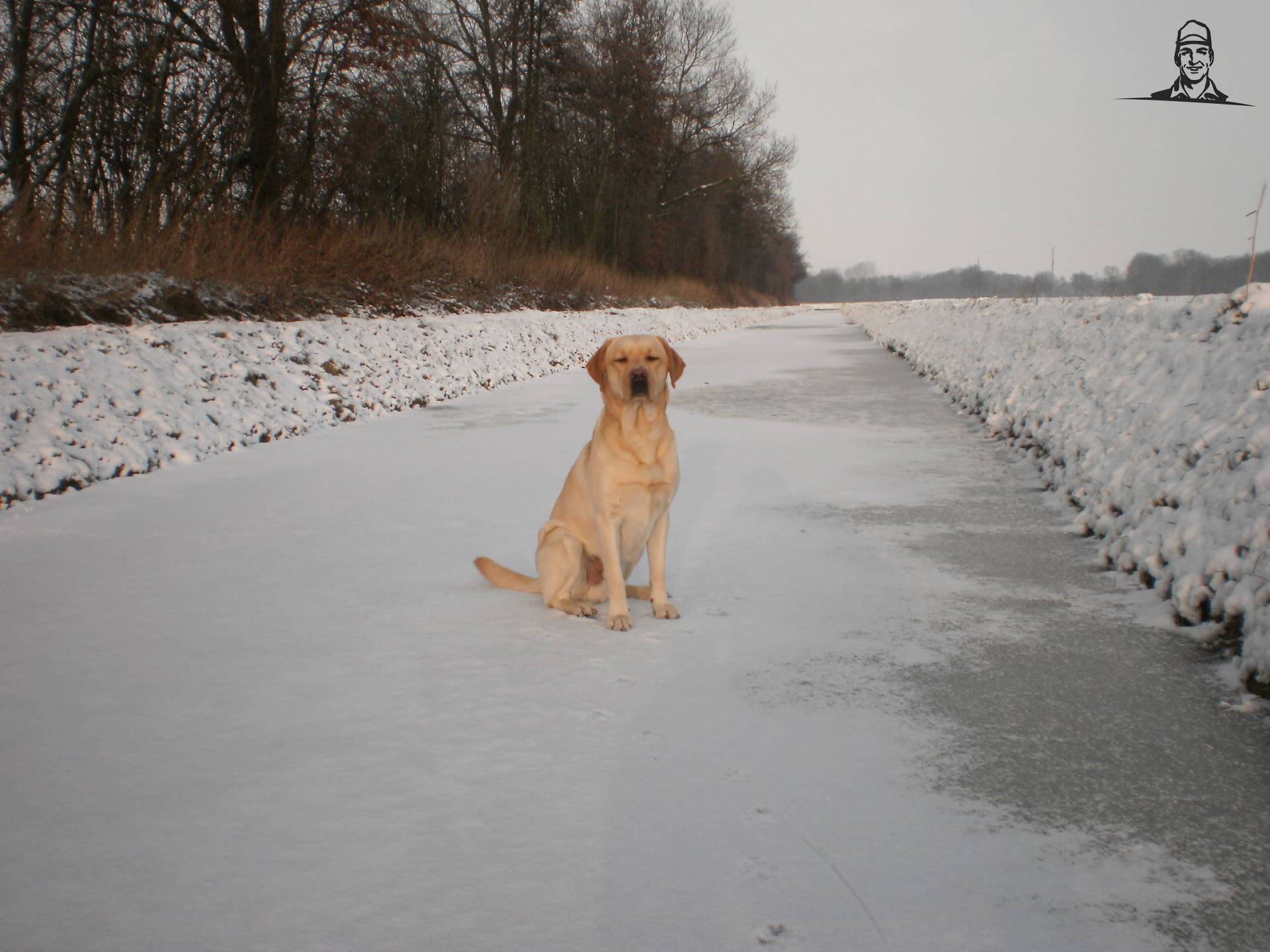 Onze hond van jesperFENDT