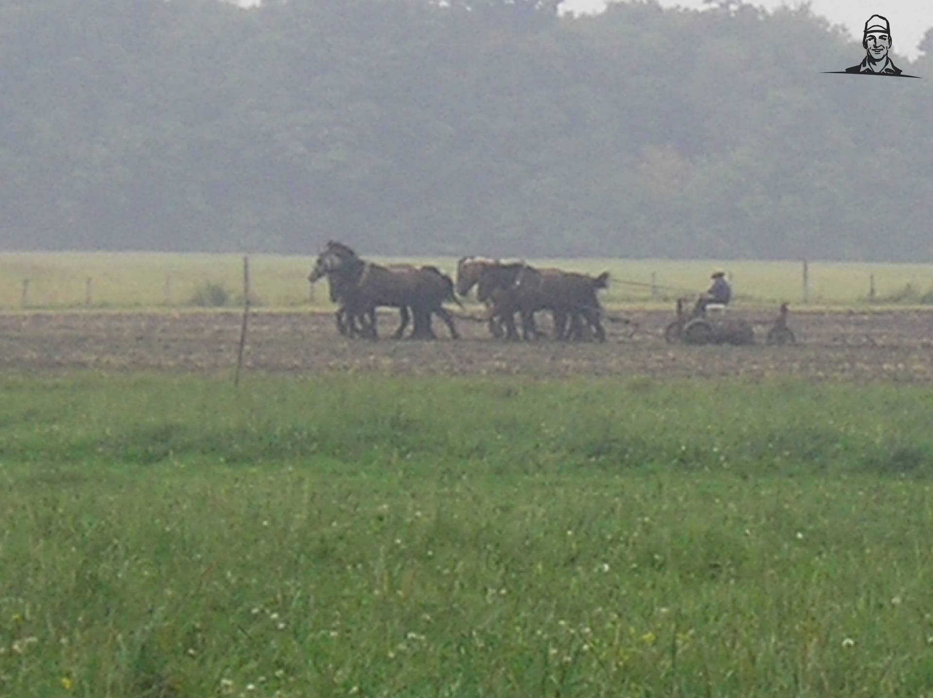 Amish van RuudBus