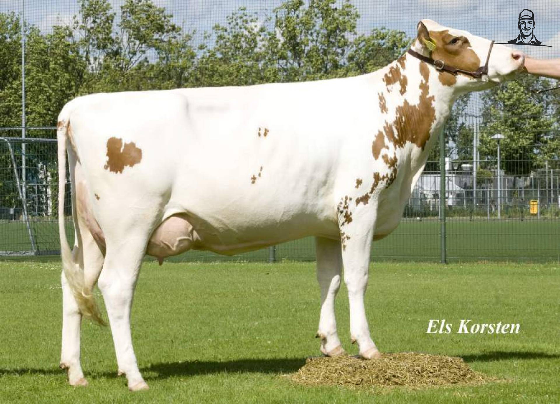 NRM, dochtergroep Laurel. van Femmy