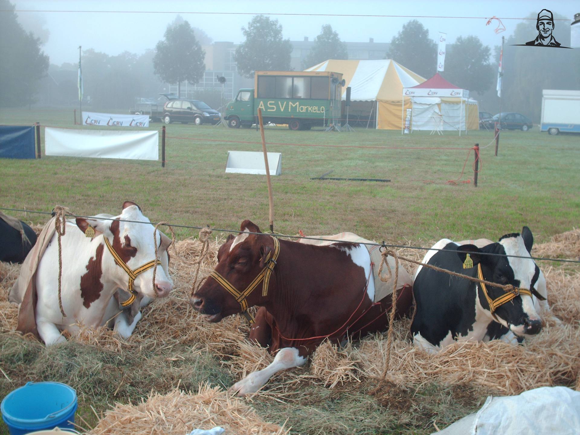 Fokveedag Eibergen '09. van Femmy
