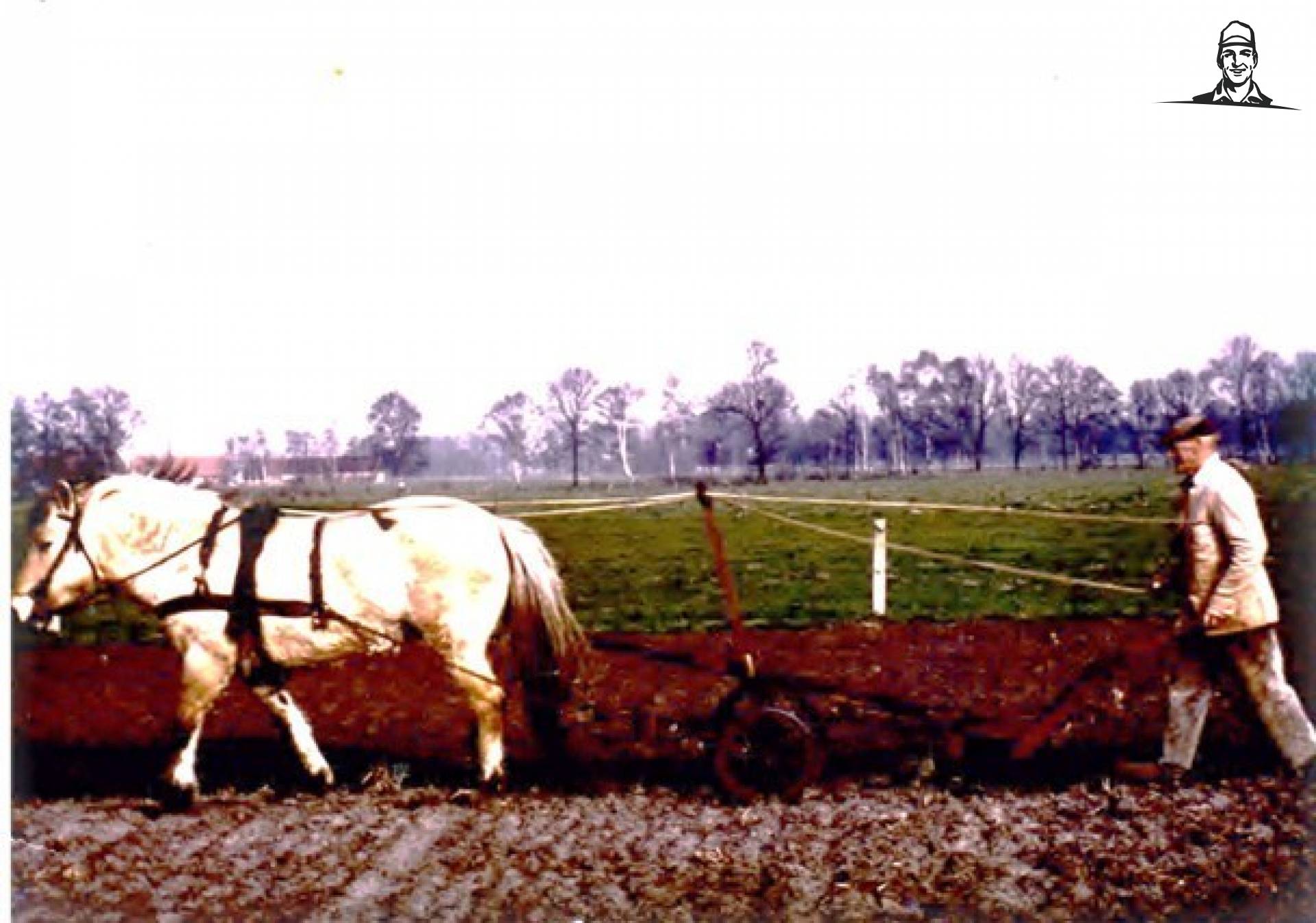 mijn overgrootopa druk aan het ploegen ;) van jelmer-mf