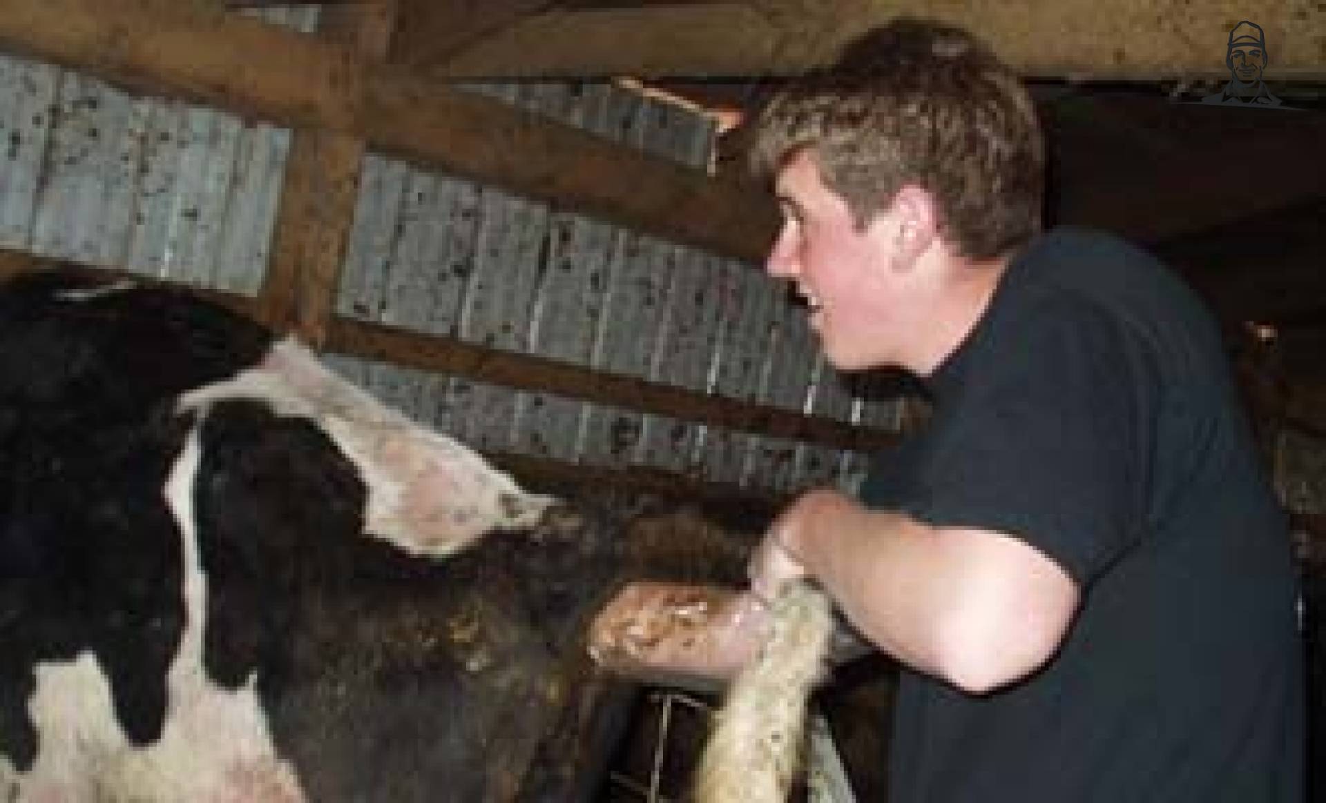 ki van melkveehouder