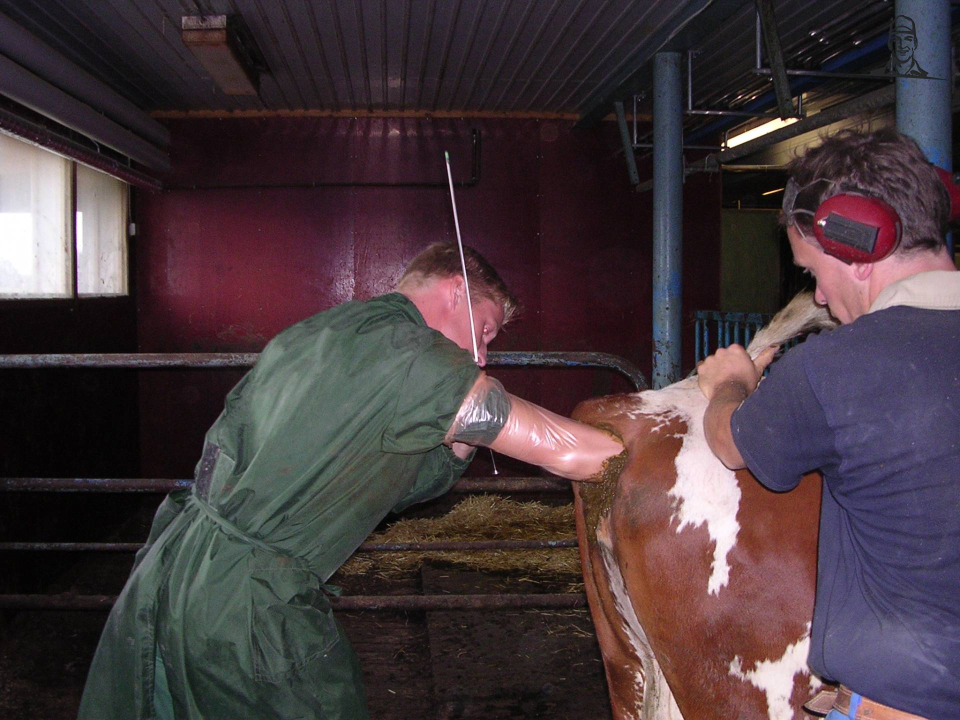 ki van melkveehouder