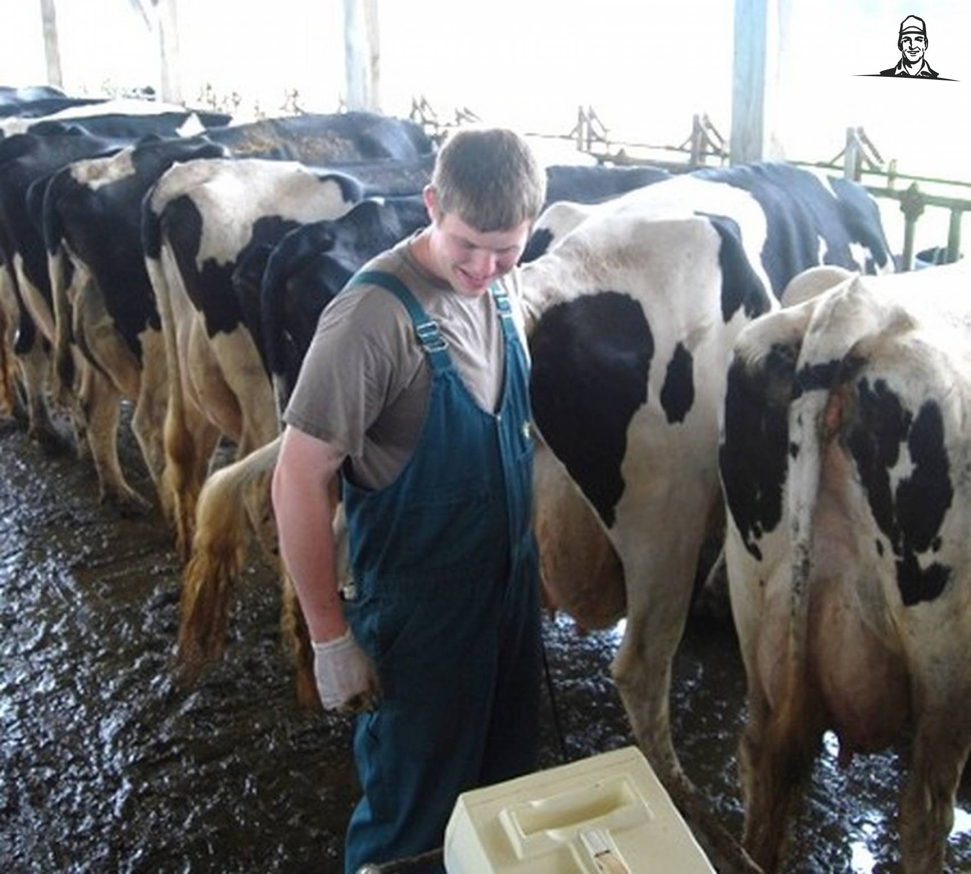 scannen van melkveehouder