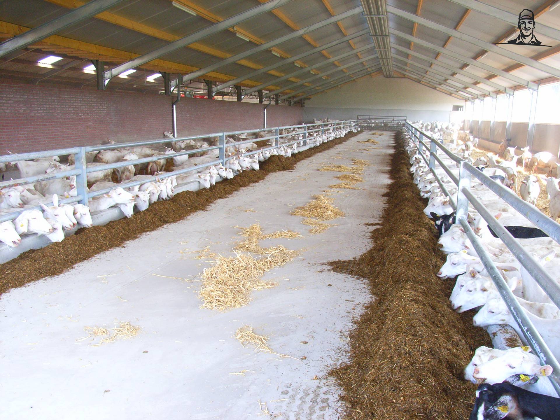 geiten van MARK VARIO TMS