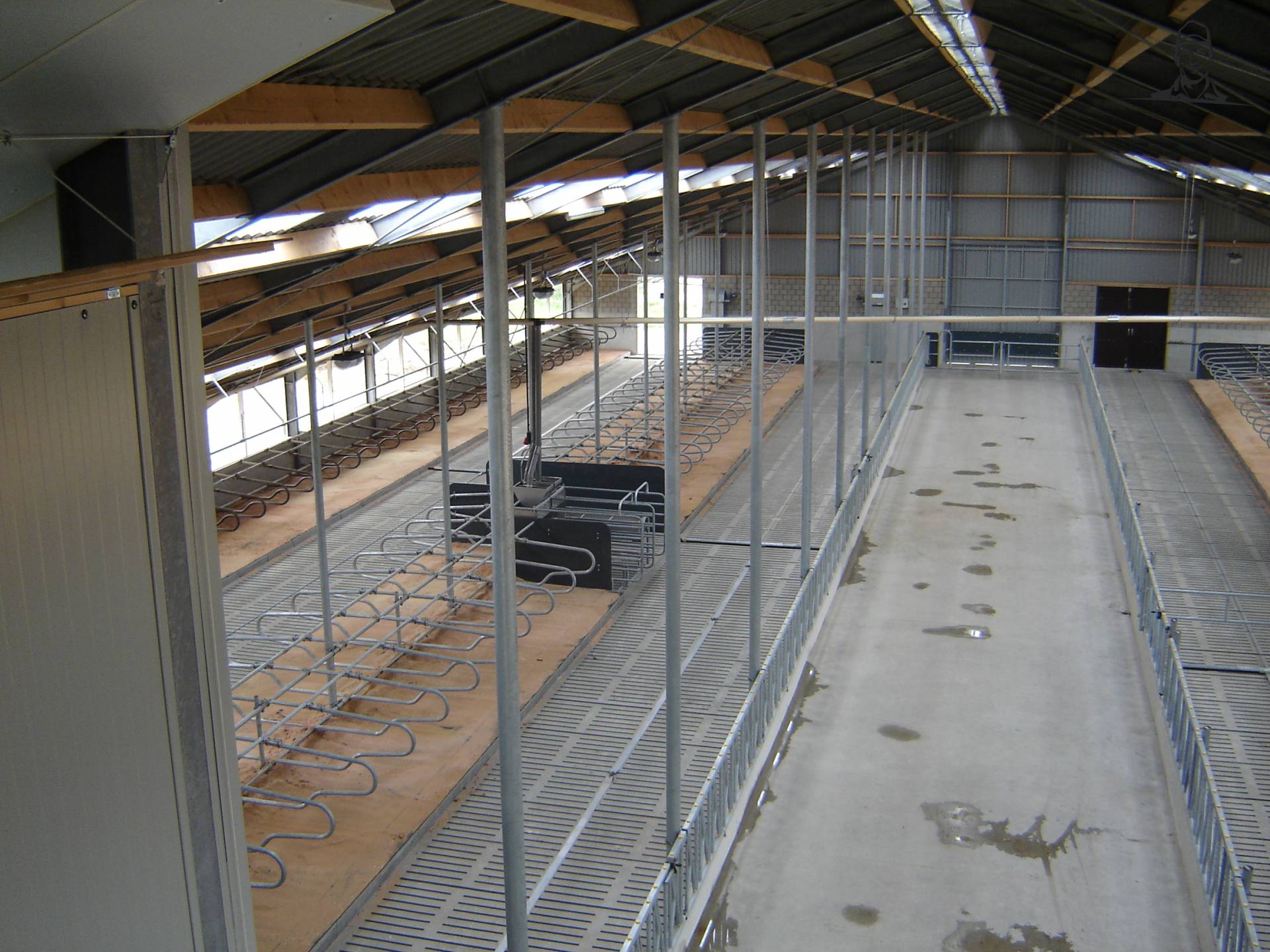 Ligboxenstal van Coen716