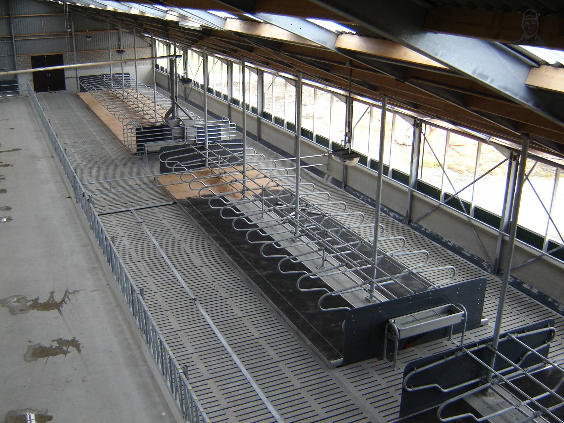 Ligboxenstal van Coen716