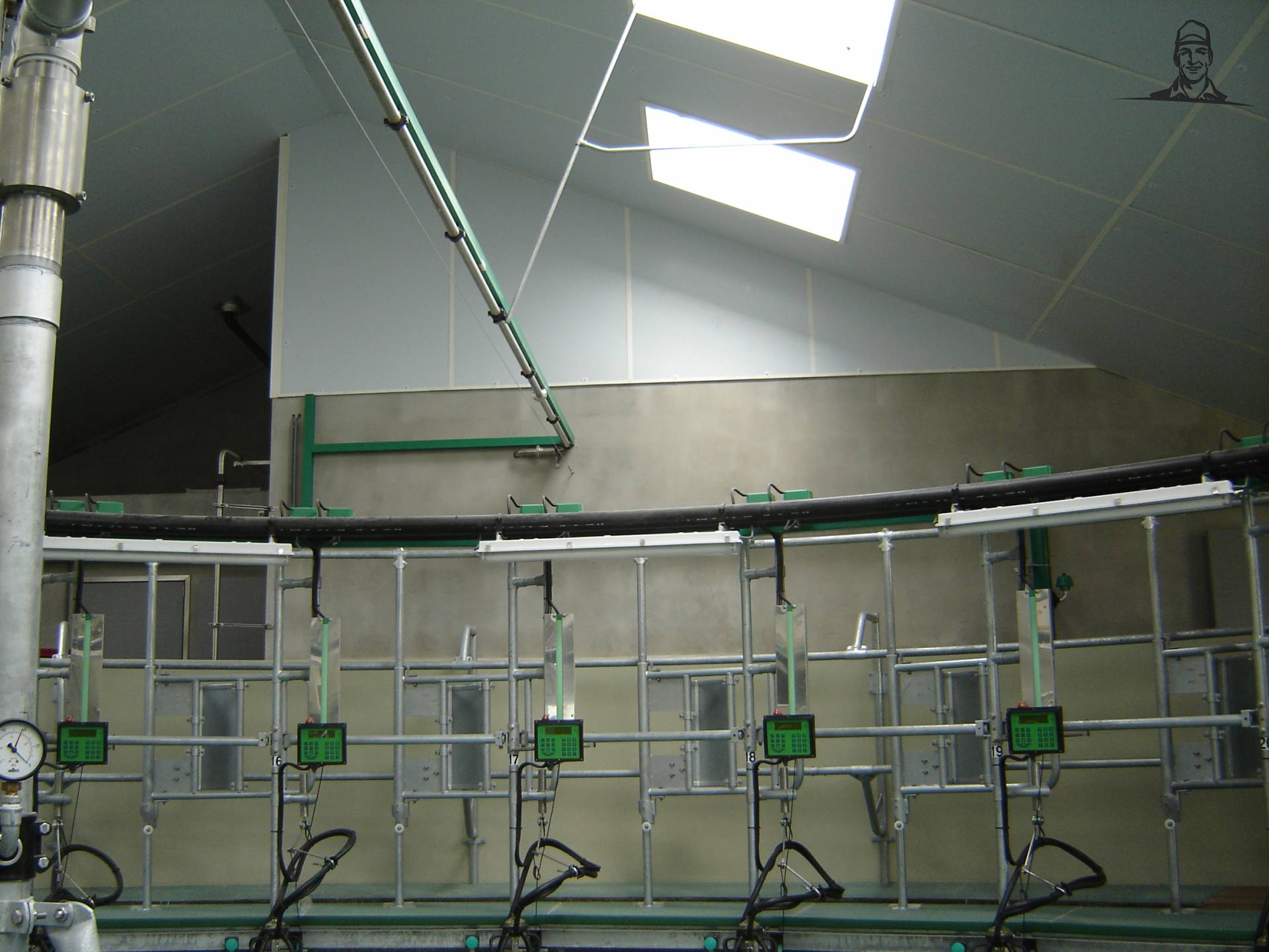 Ligboxenstal van Coen716