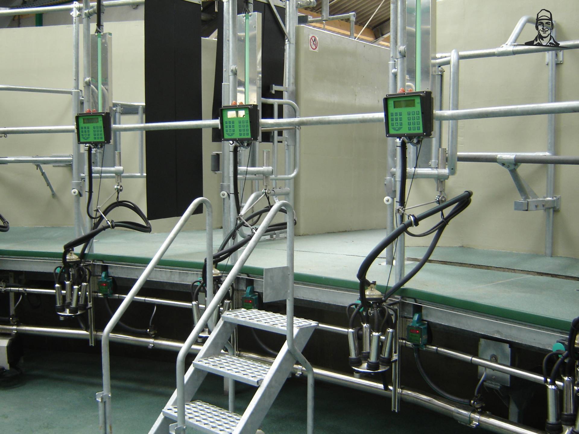 Ligboxenstal van Coen716