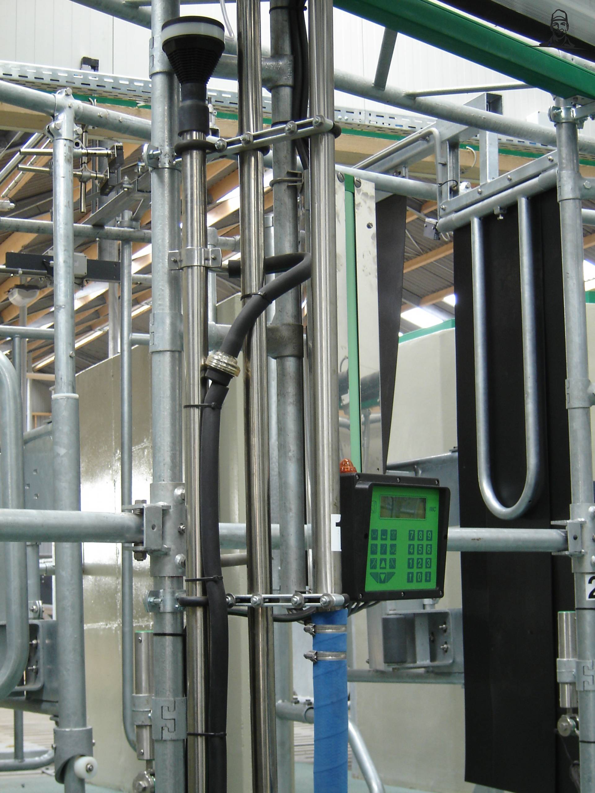 Ligboxenstal van Coen716