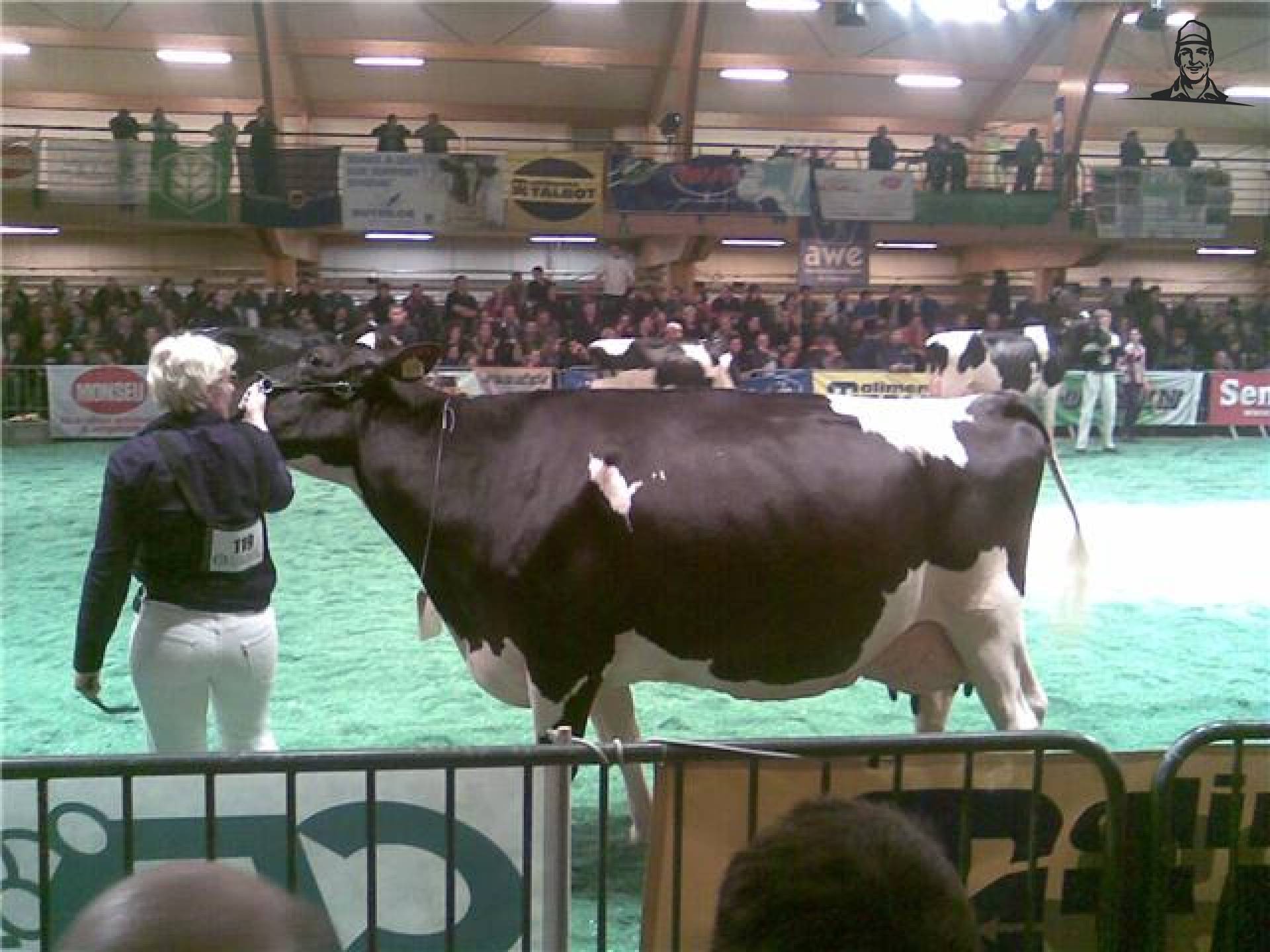 James Dumbria  van Ingrid