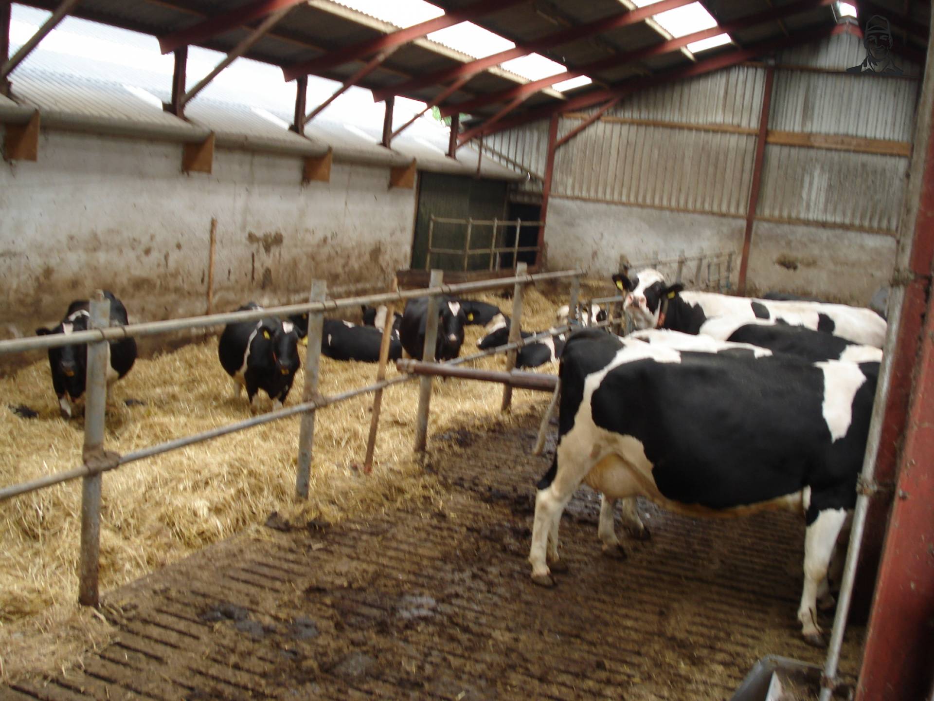 Potstal van kaampsje