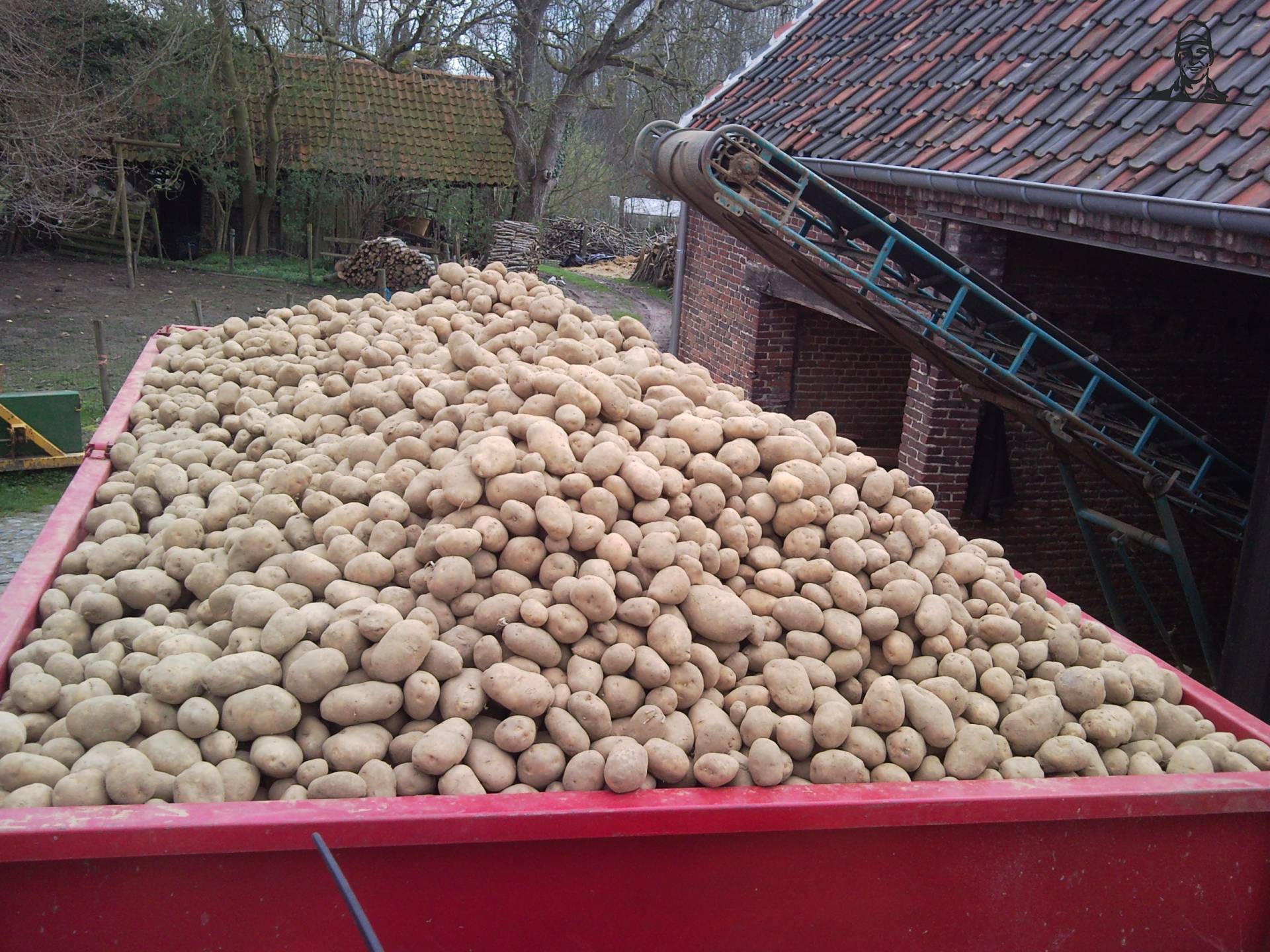 Aardappelen van Renaultman