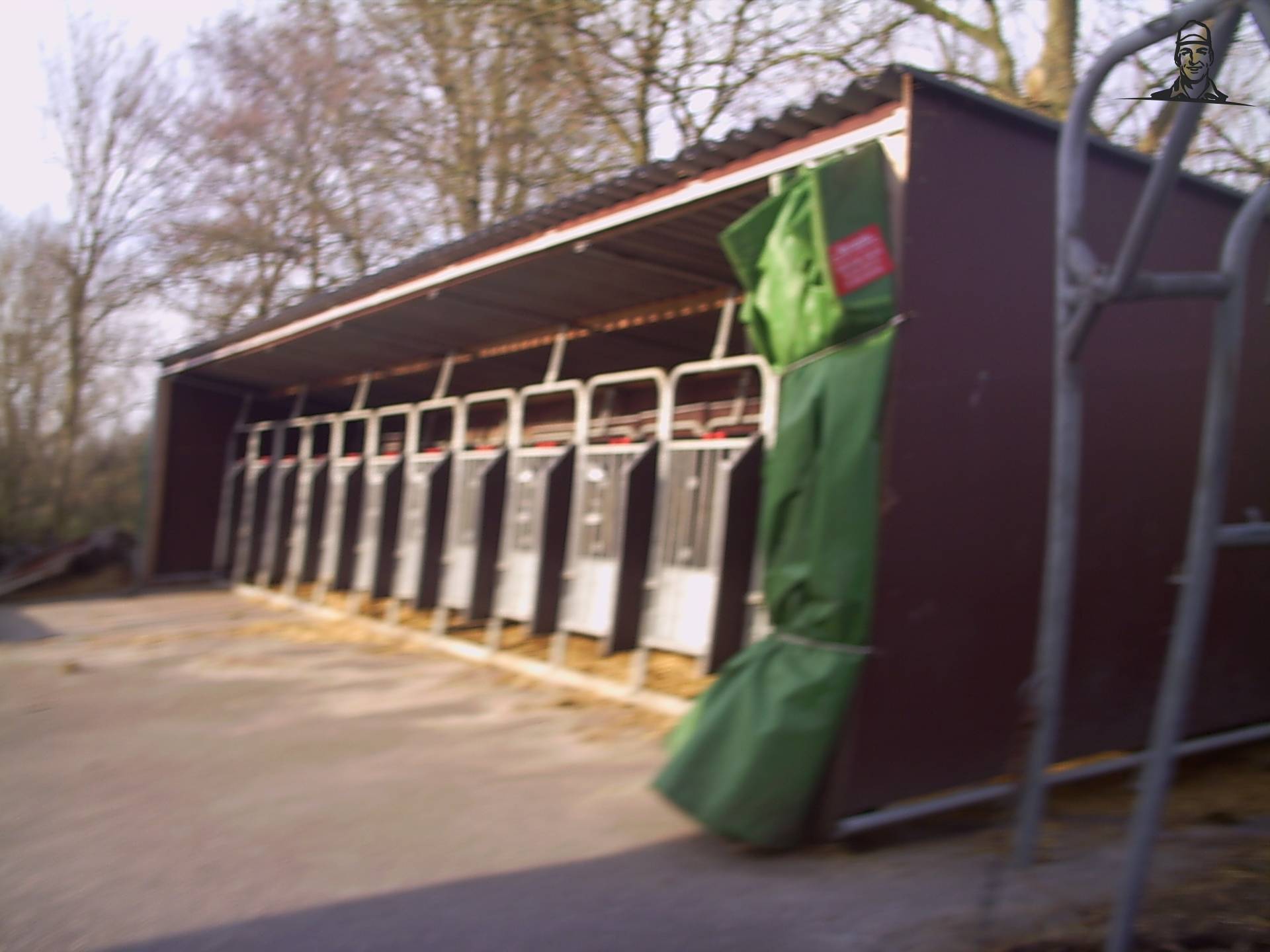 kalverhokken van daan knol