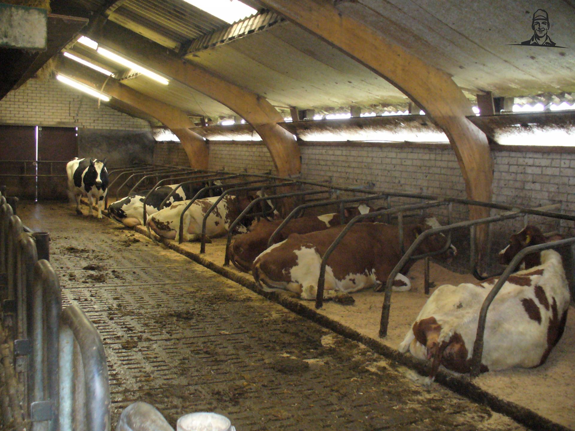 stukje ligboxenstal van henkie4