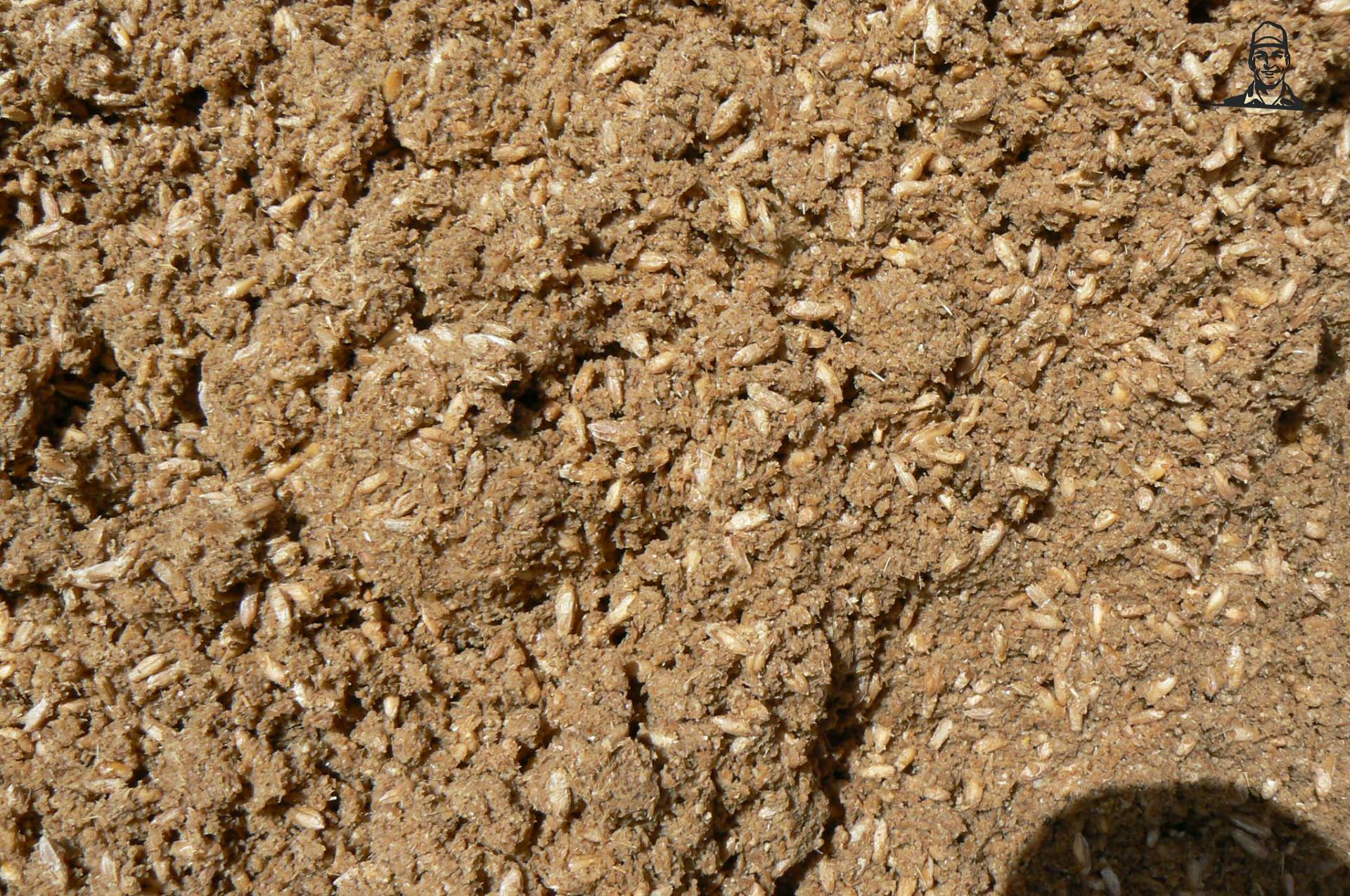 het resultaat van jefke