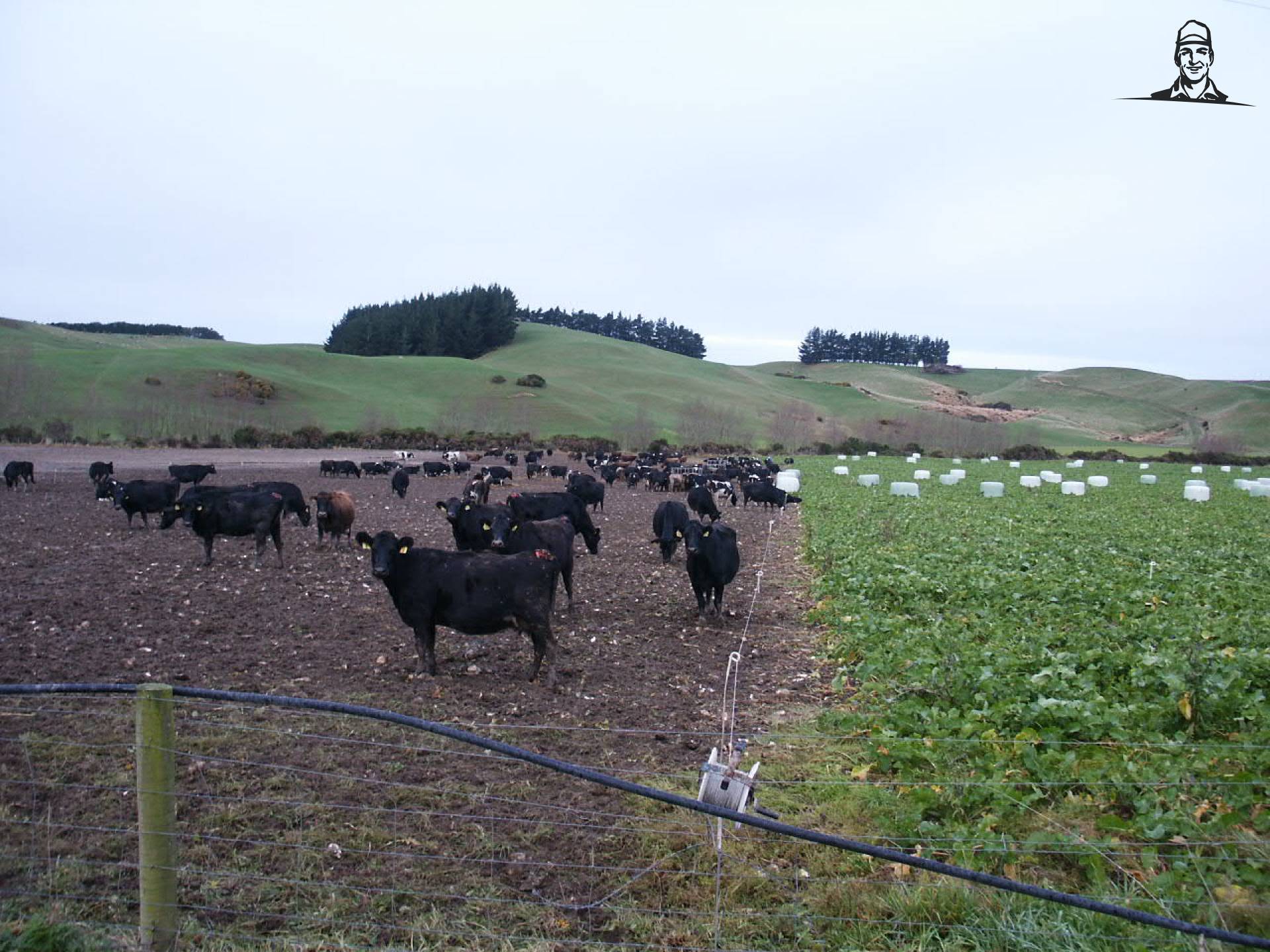 Winter/Calving van Quickfeed