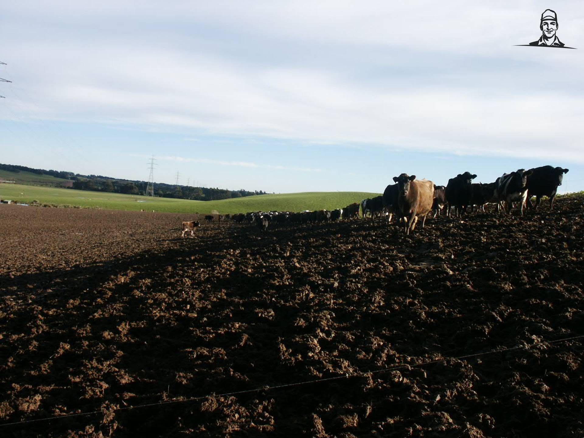 Winter/Calving van Quickfeed