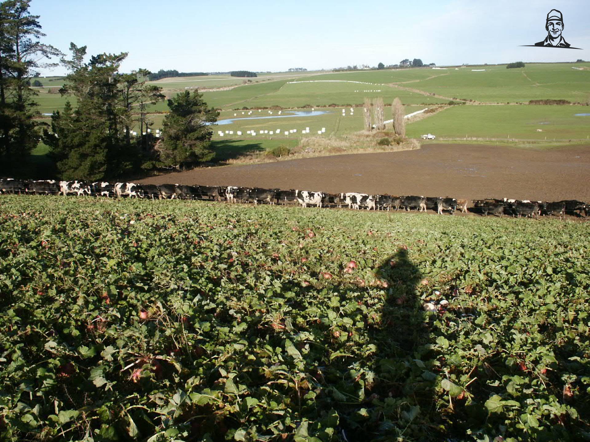 Winter/Calving van Quickfeed