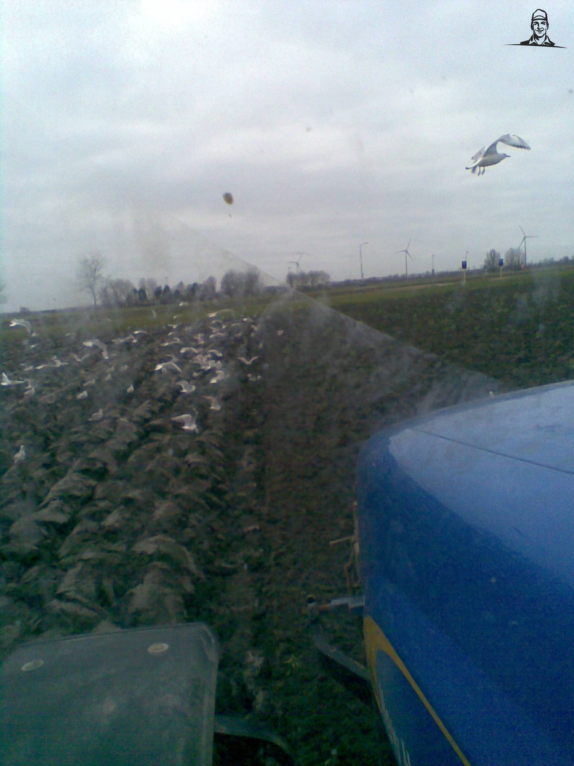 meeuwen op het geploegde land vorig jaar van t6030power