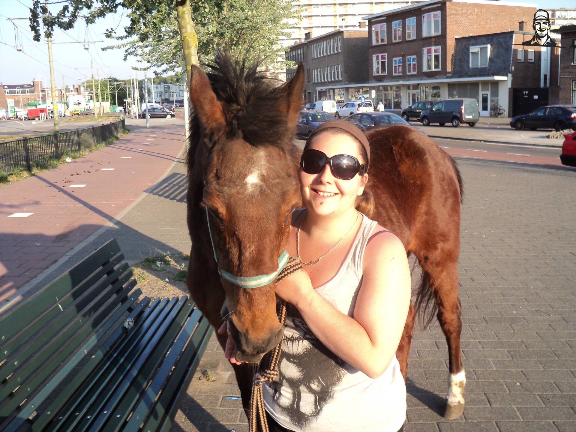Met me pony van Sabjeh