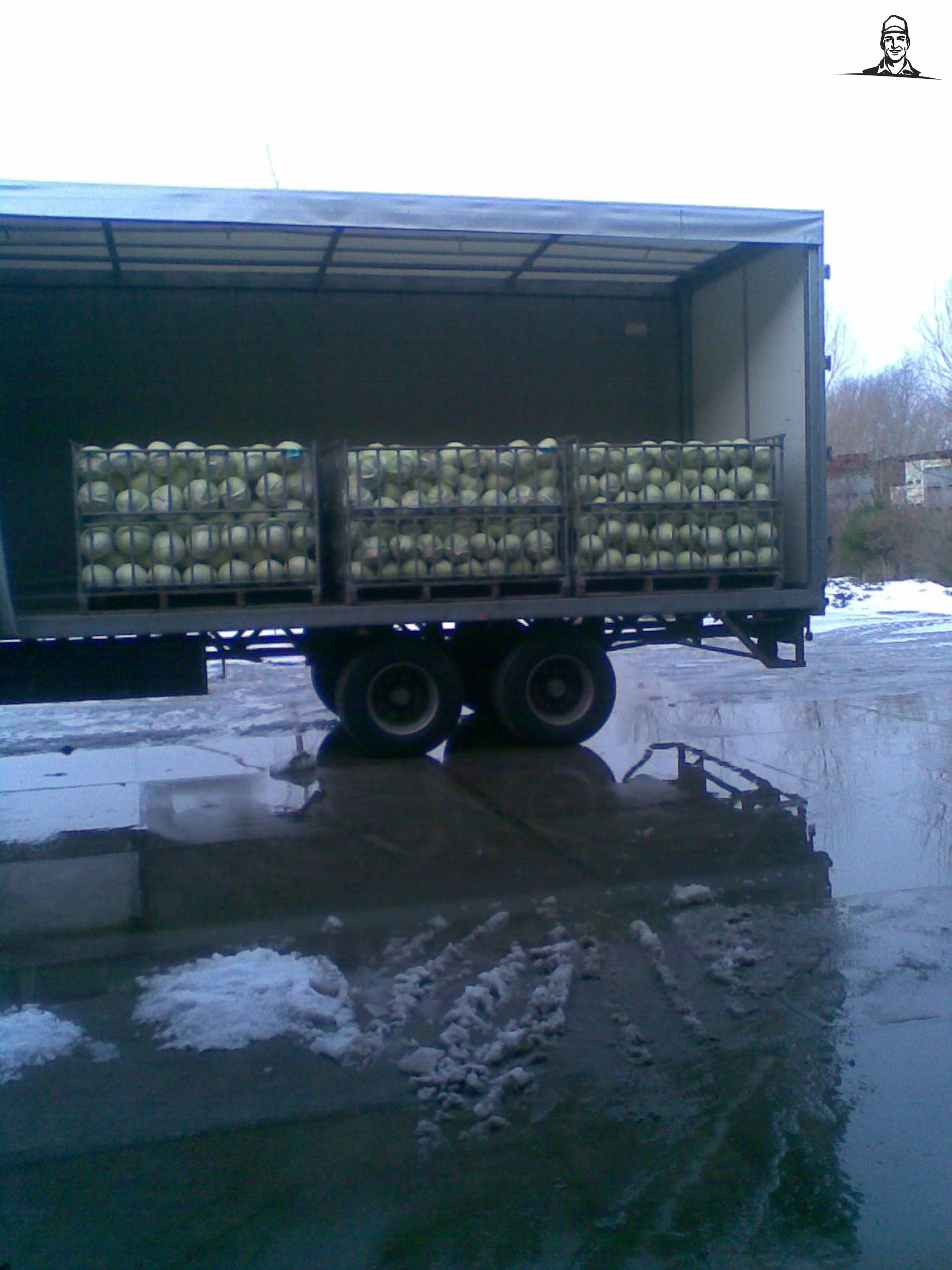 6 kool boxen opgeladen om naar de groentensnijderij te gaan van t6030power