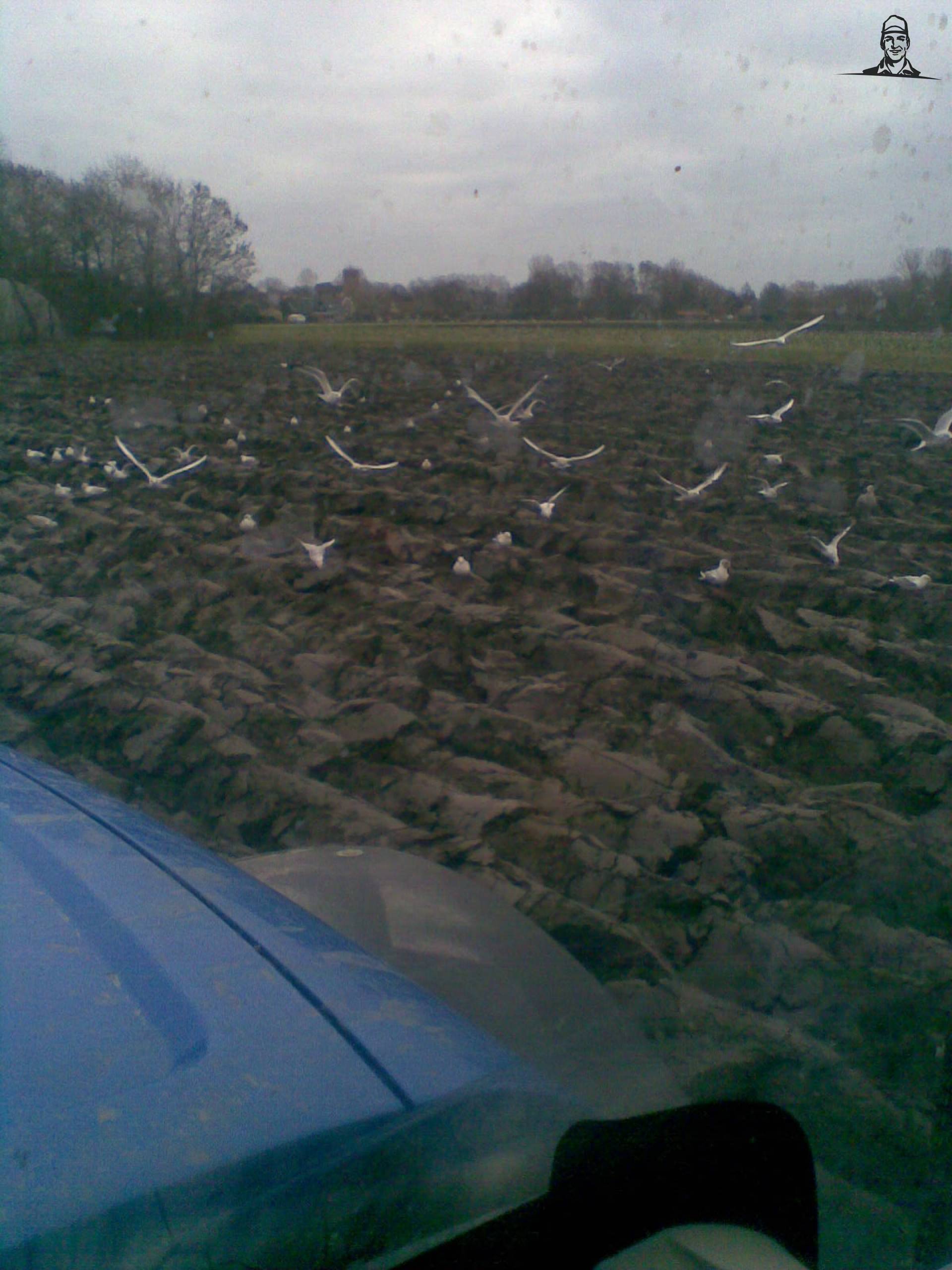 geploegd land van t6030power