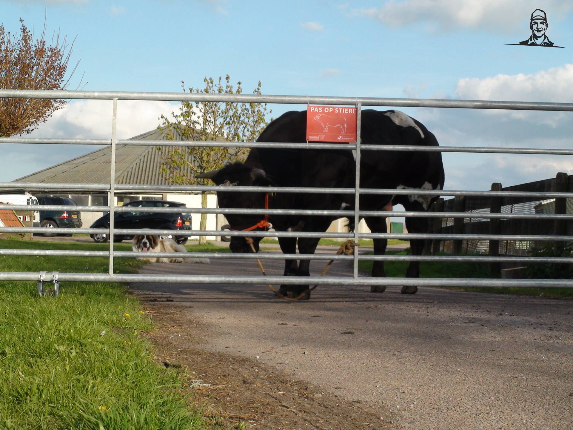 Pas op de stier van Grasbaal