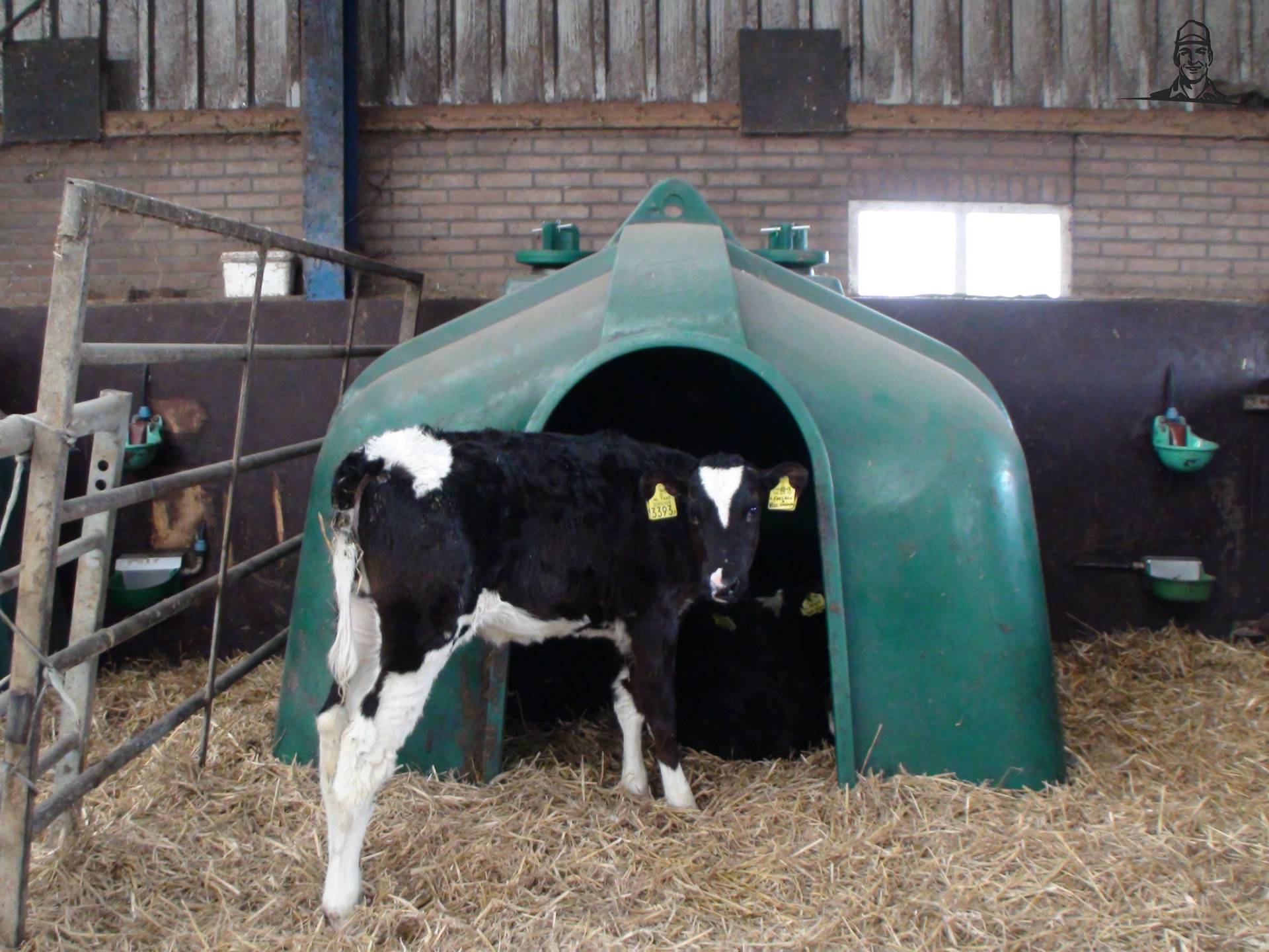 Kalveren Iglo in de machineloods bij de Mts. Hoeksma van Grasbaal
