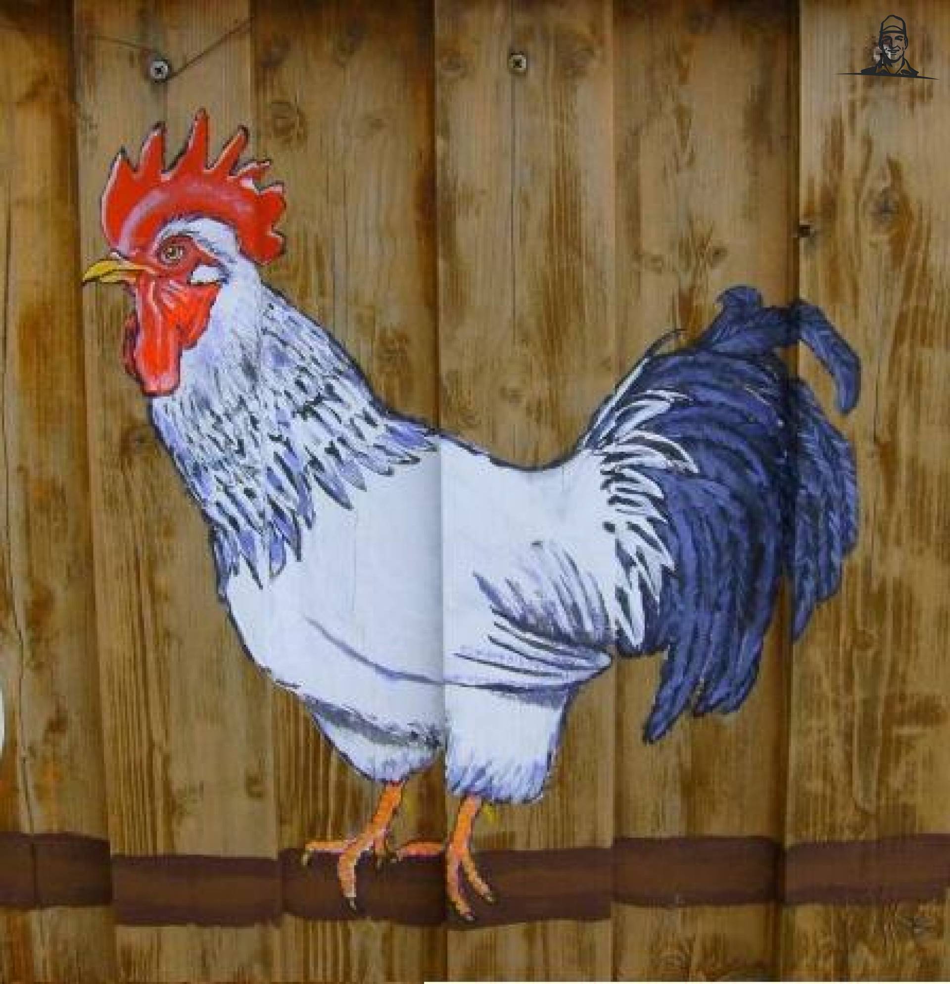 Schuttinghaan van Meelmuisje