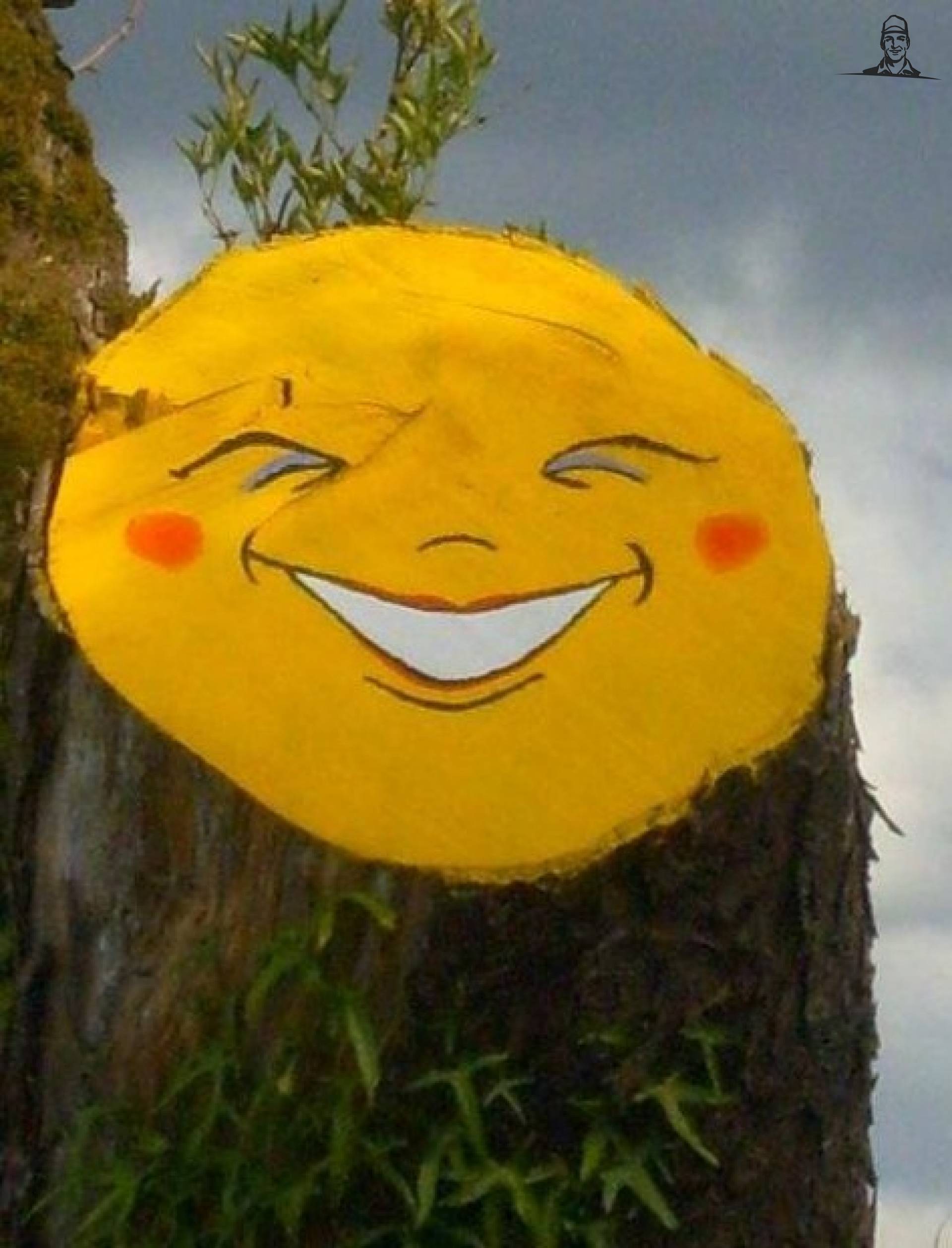 Zonneboom van Meelmuisje