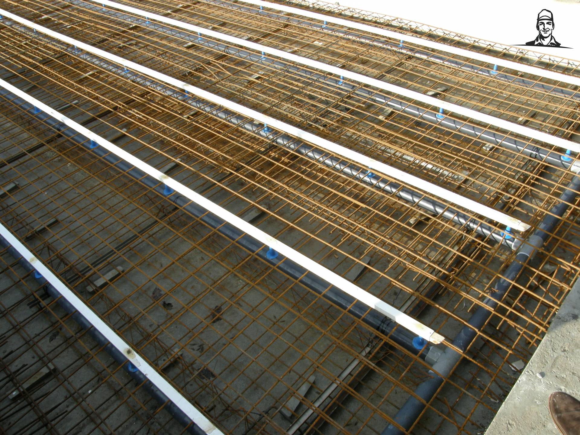 De toekomst in met innoverend stalconcept - 3 van Grasbaal