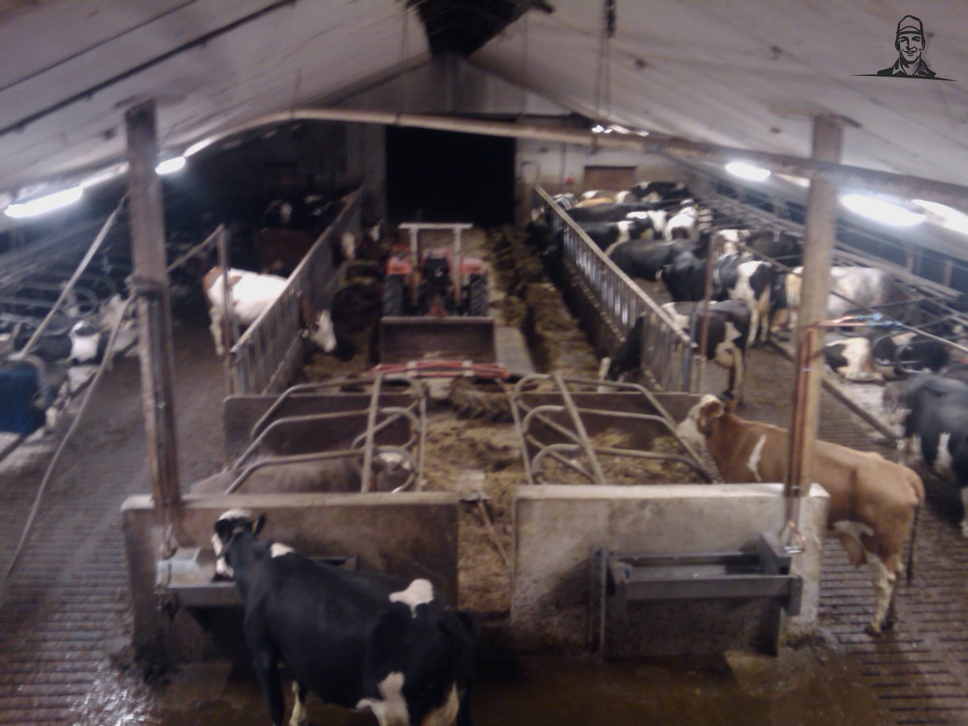 Koe! van newholland6640