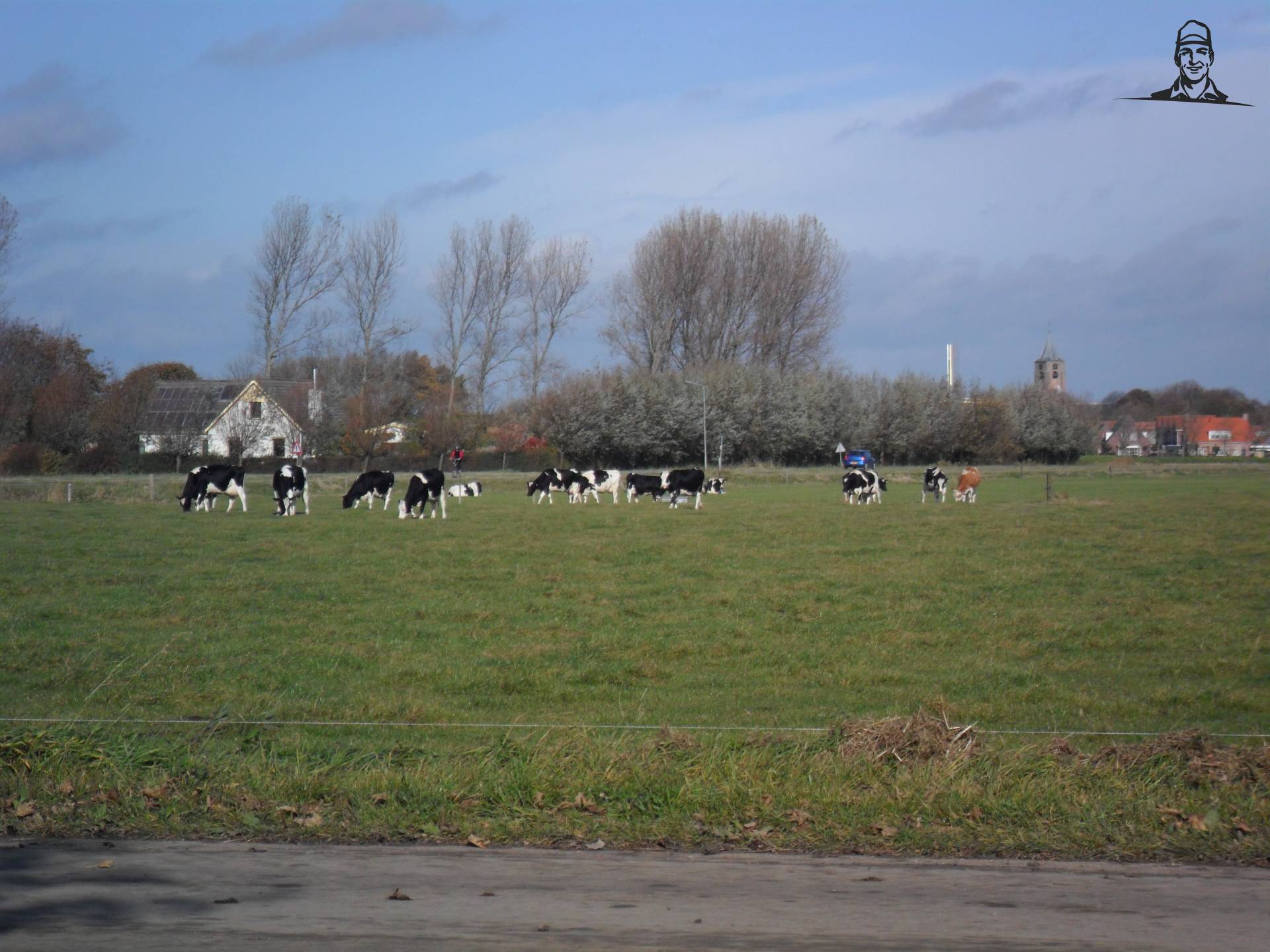 herfst in zeeland van saartje_koe