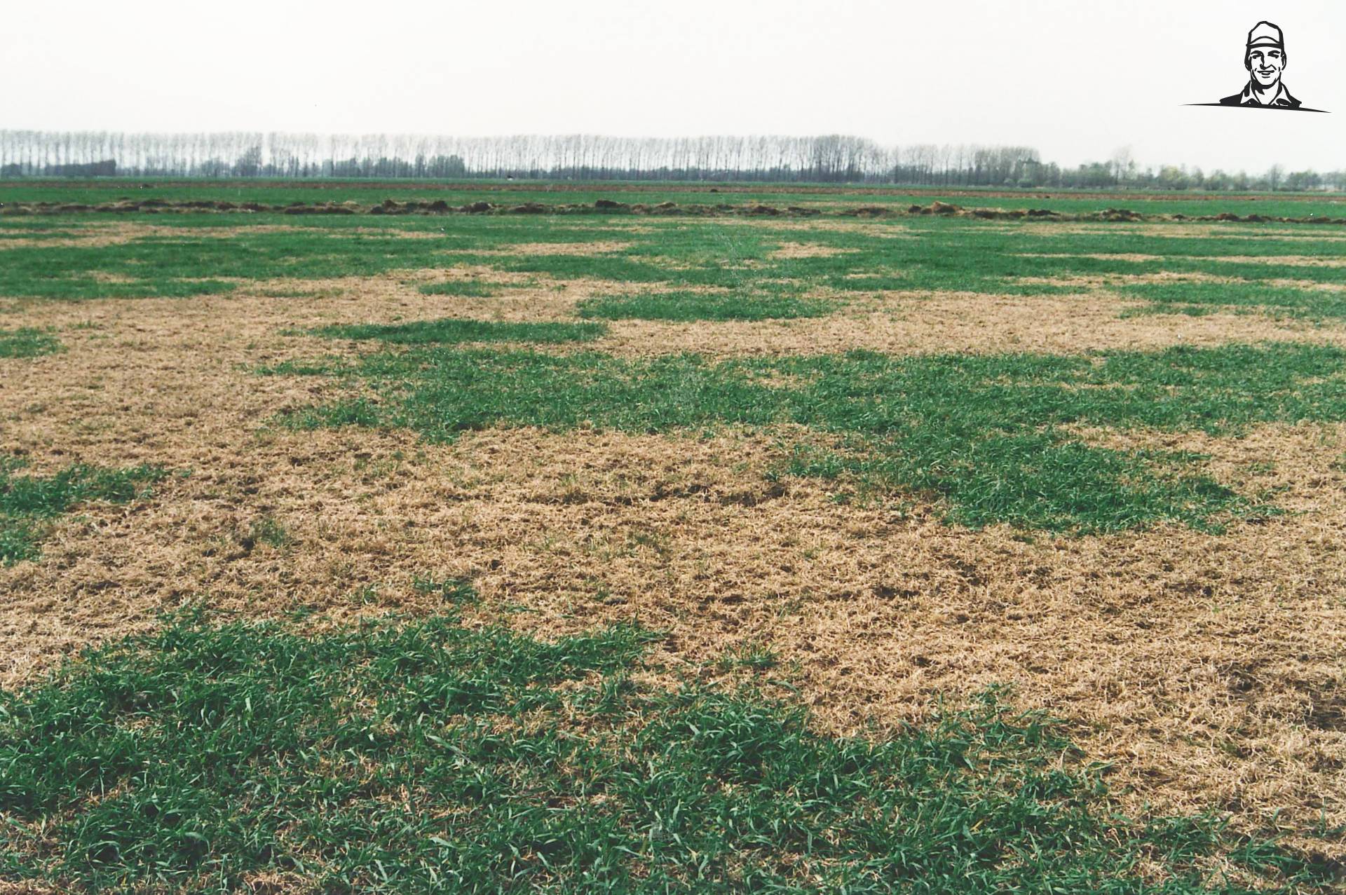 Serieuze winterschade in weilanden  van Grasbaal