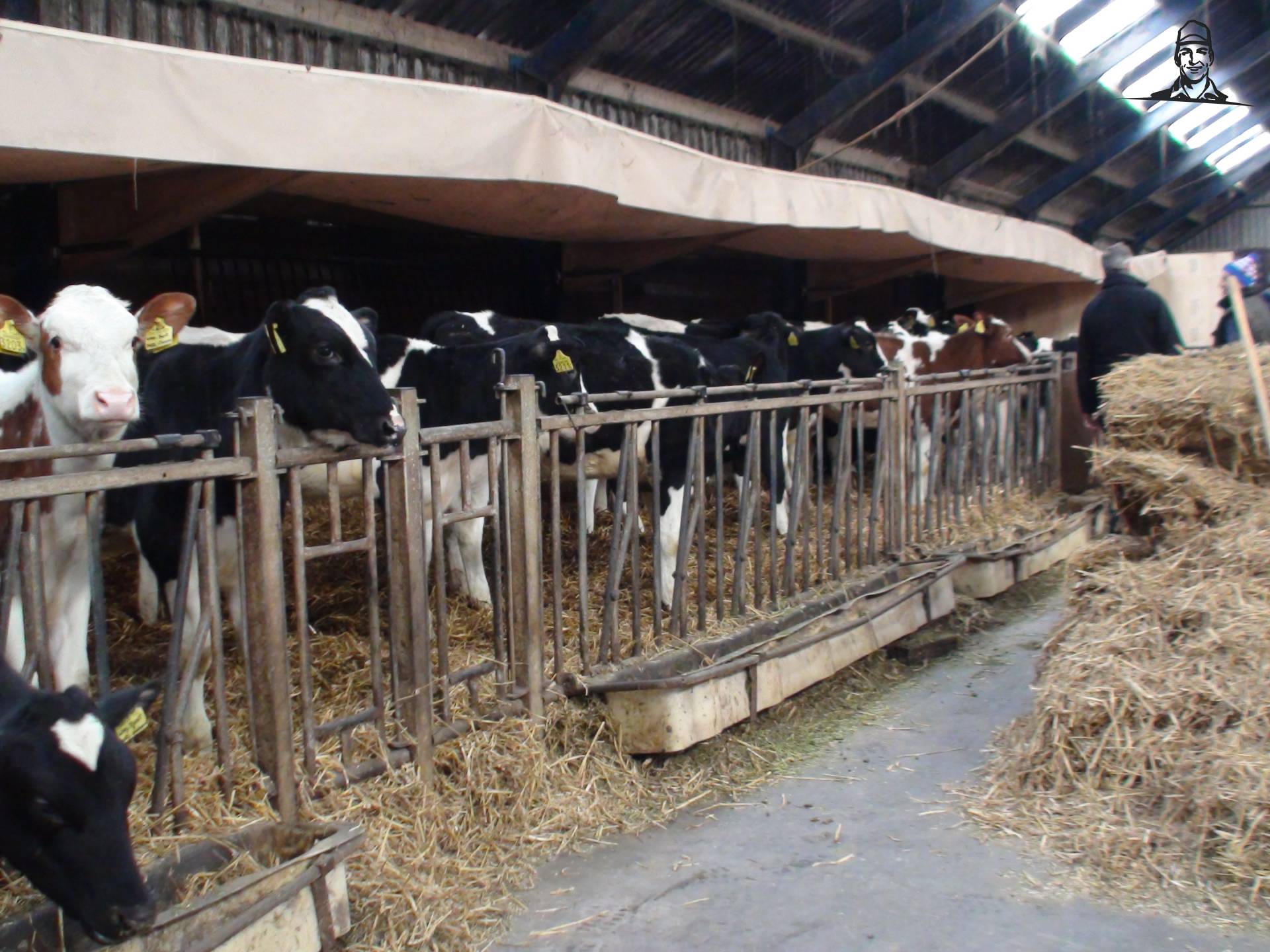 Kalvercreche Gebr. Hoeksma van Grasbaal