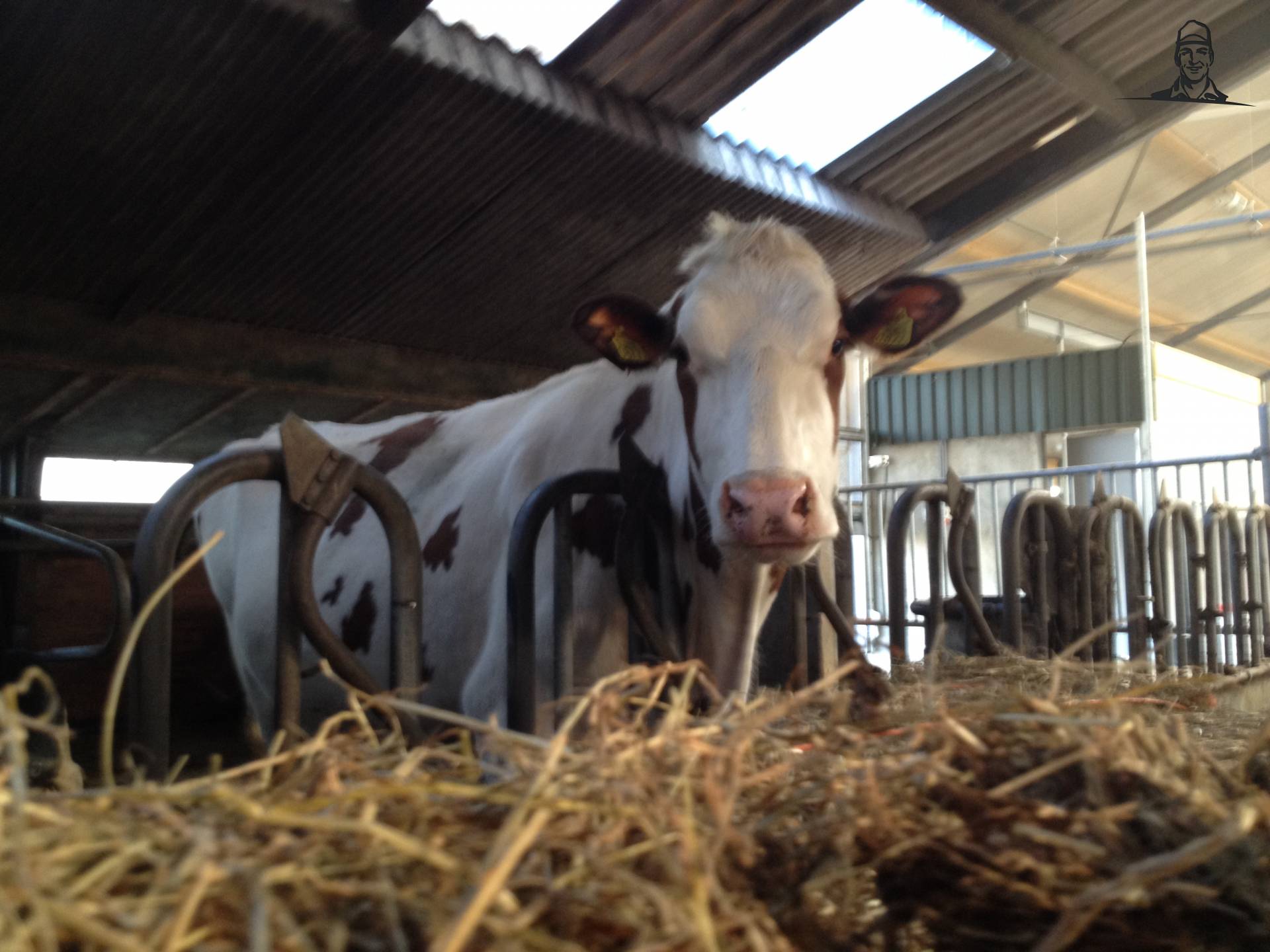 Foto (test) van tinus