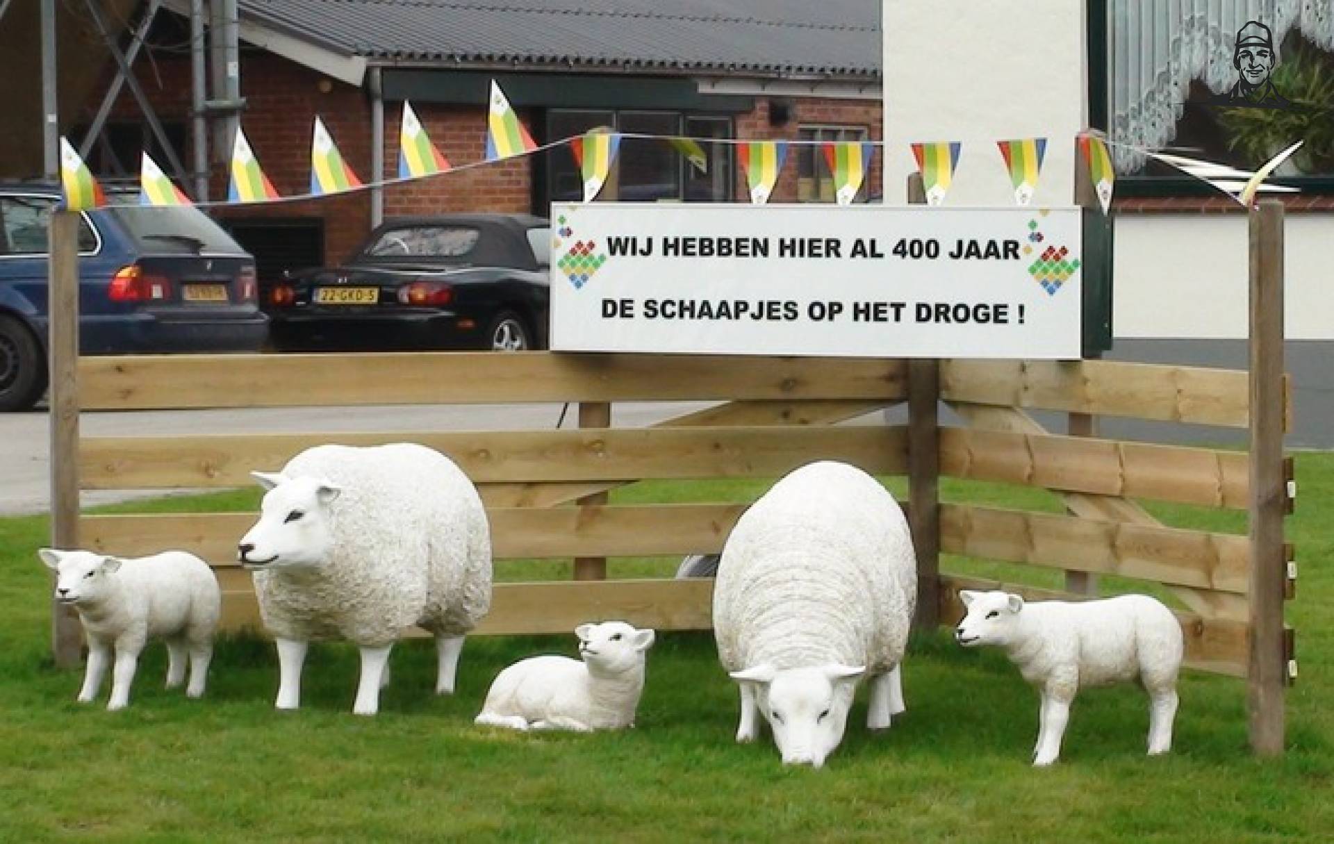 De schaapjes op droge van Grasbaal