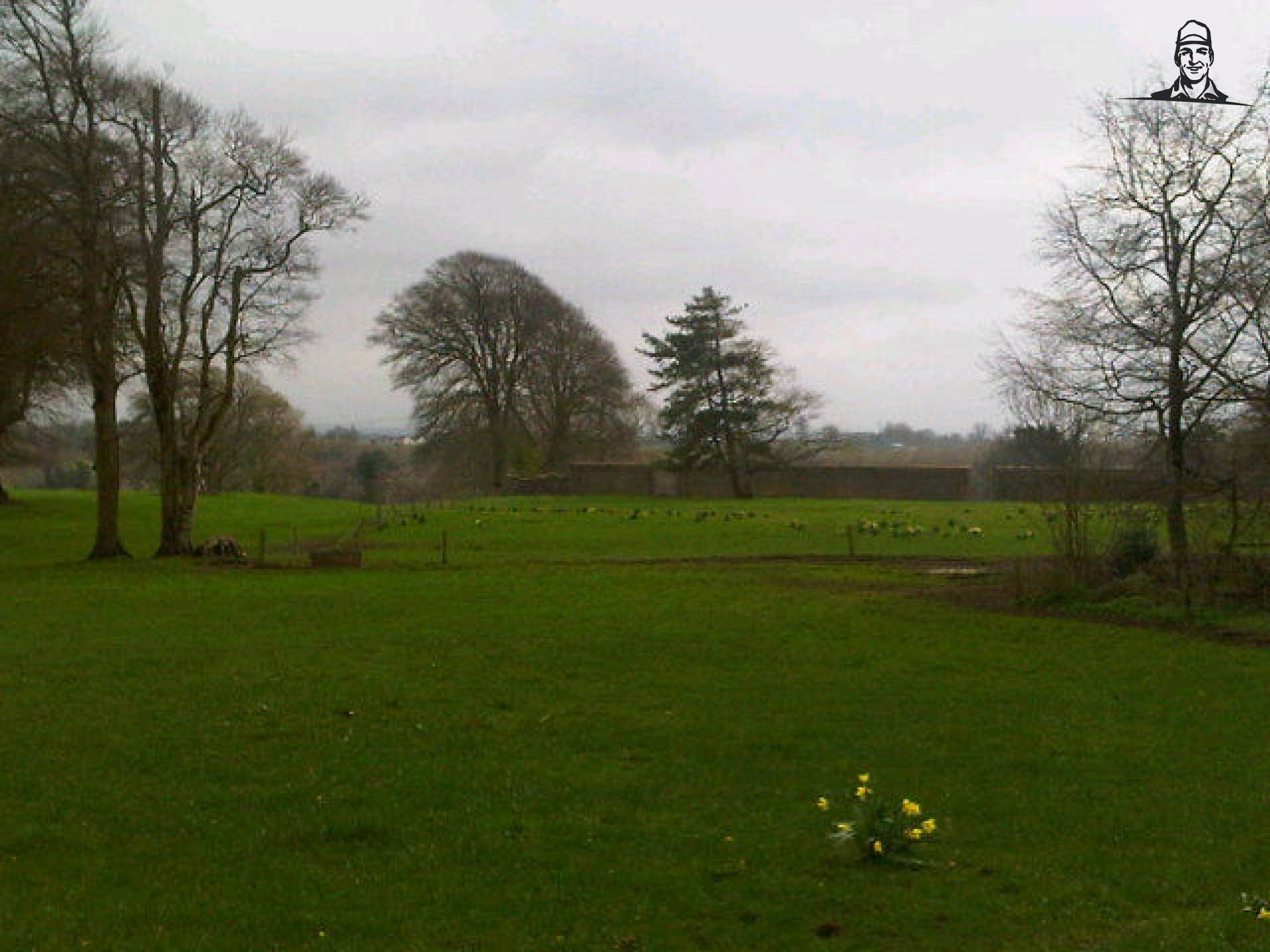 Ierland blijft mooi om te zijn van FacebookGrazer