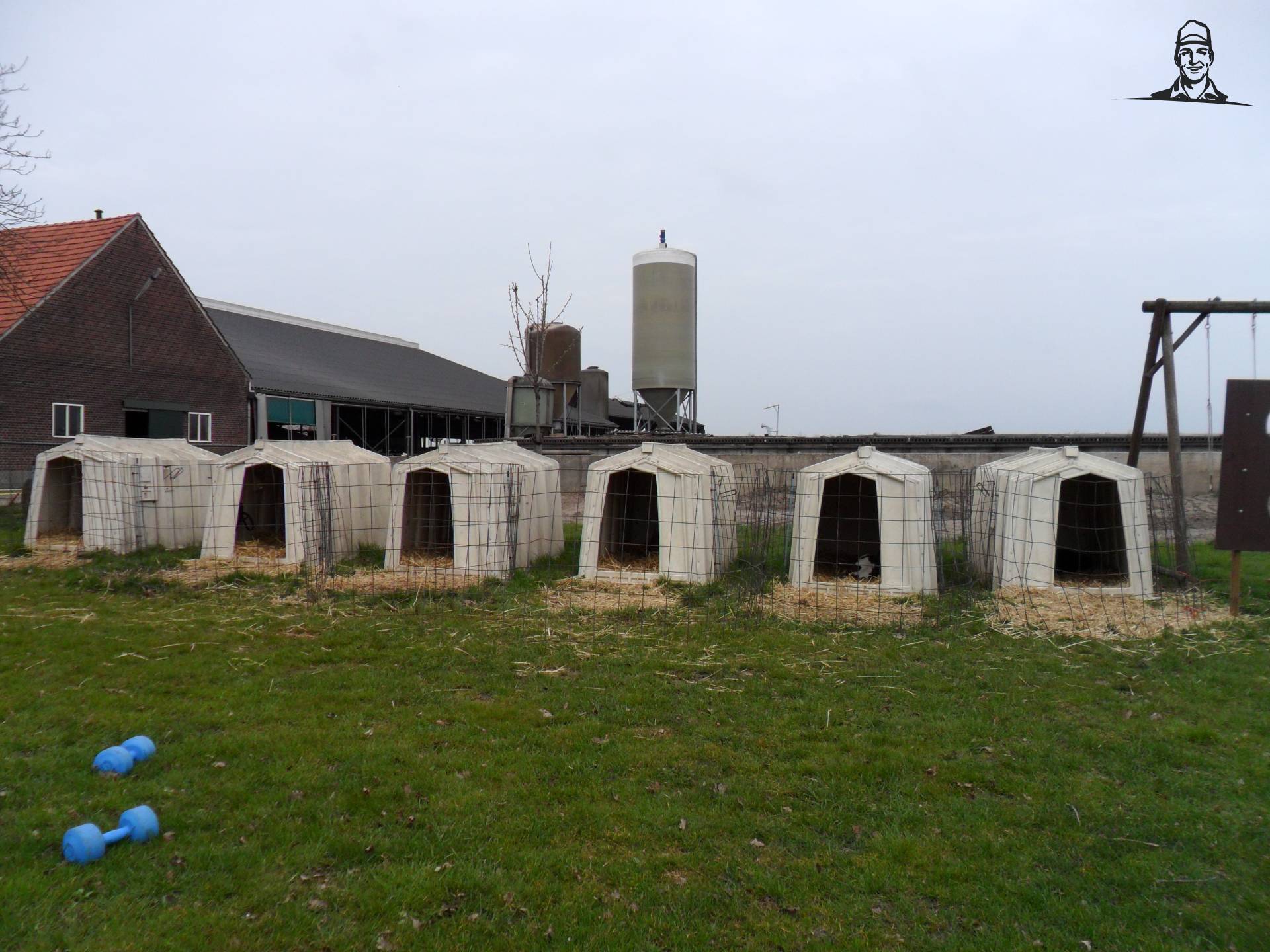 iglo's op stage van saartje_koe