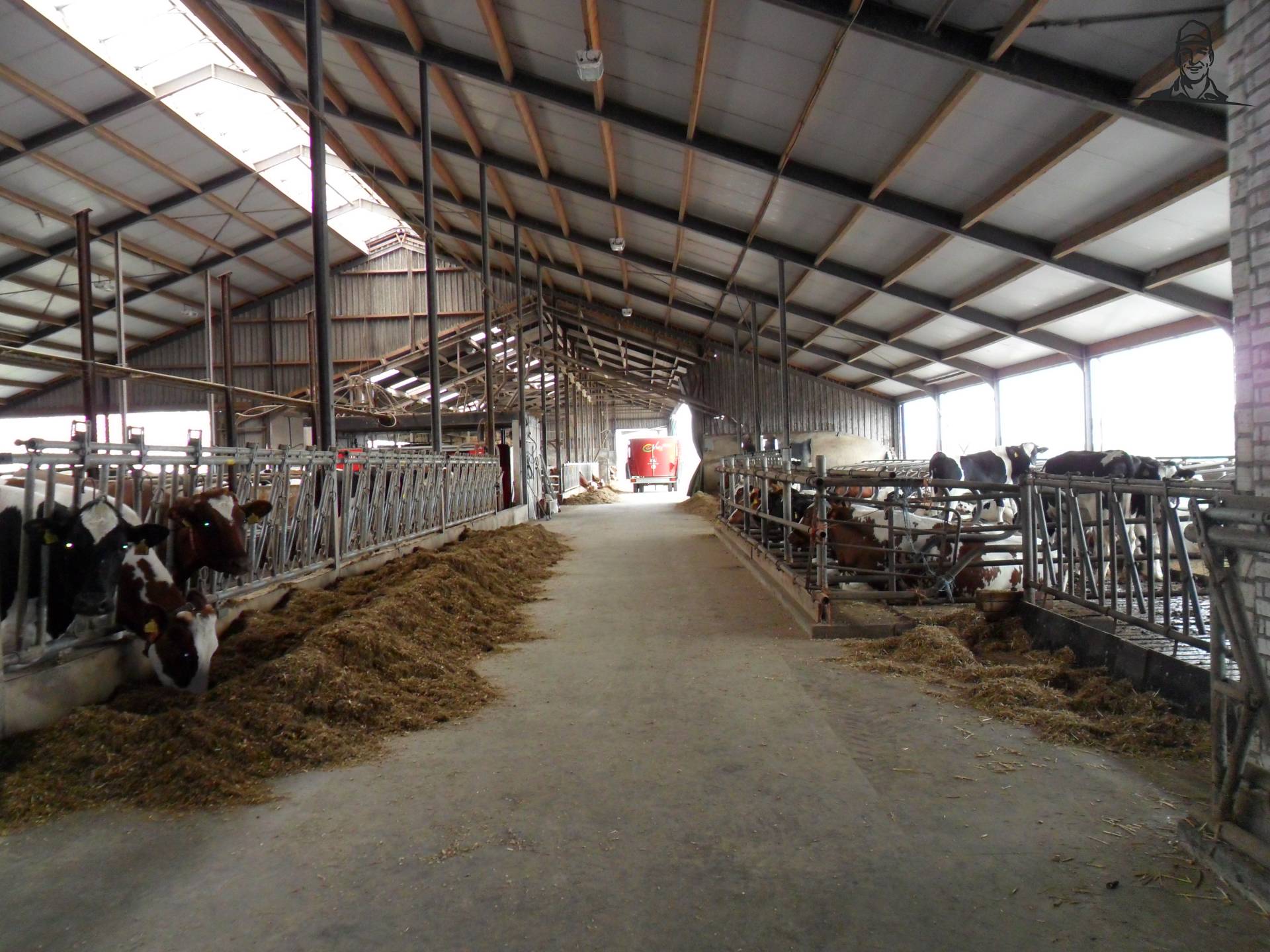 stal  van saartje_koe