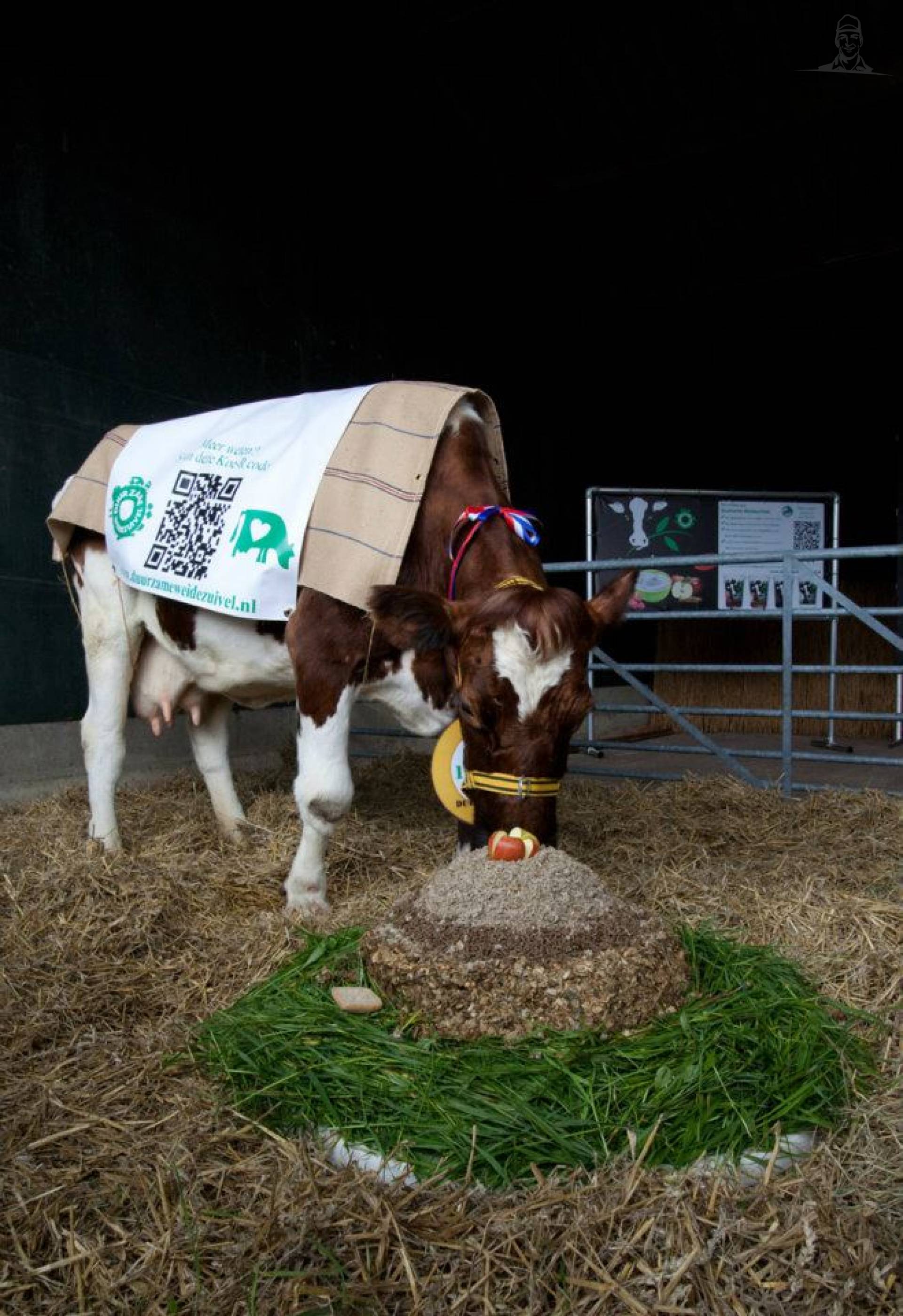 Gerda 13 krijgt een heerlijke grastaart van FacebookGrazer