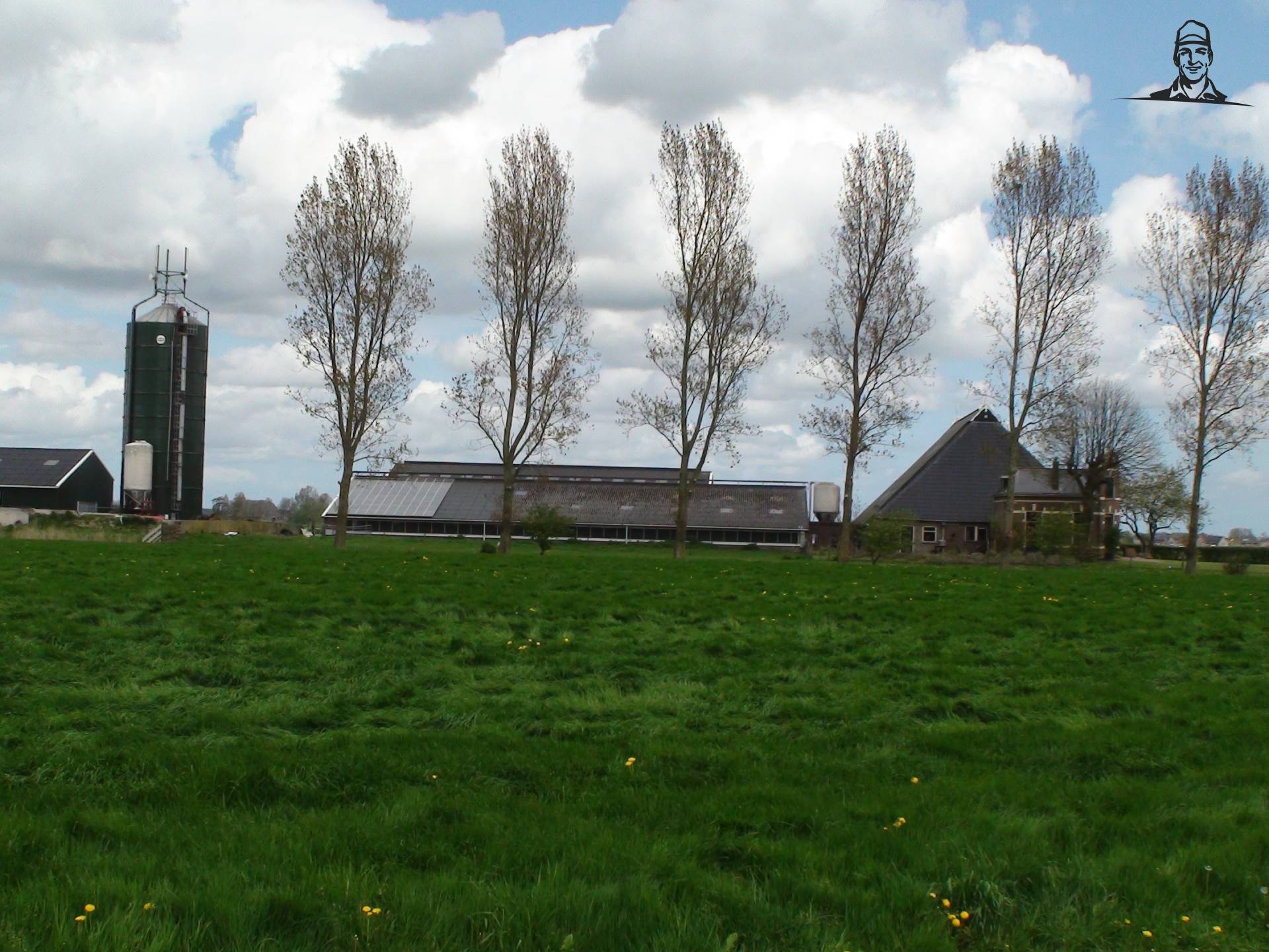 In Friesland al meer staldaken met zonnepanelen van Grasbaal